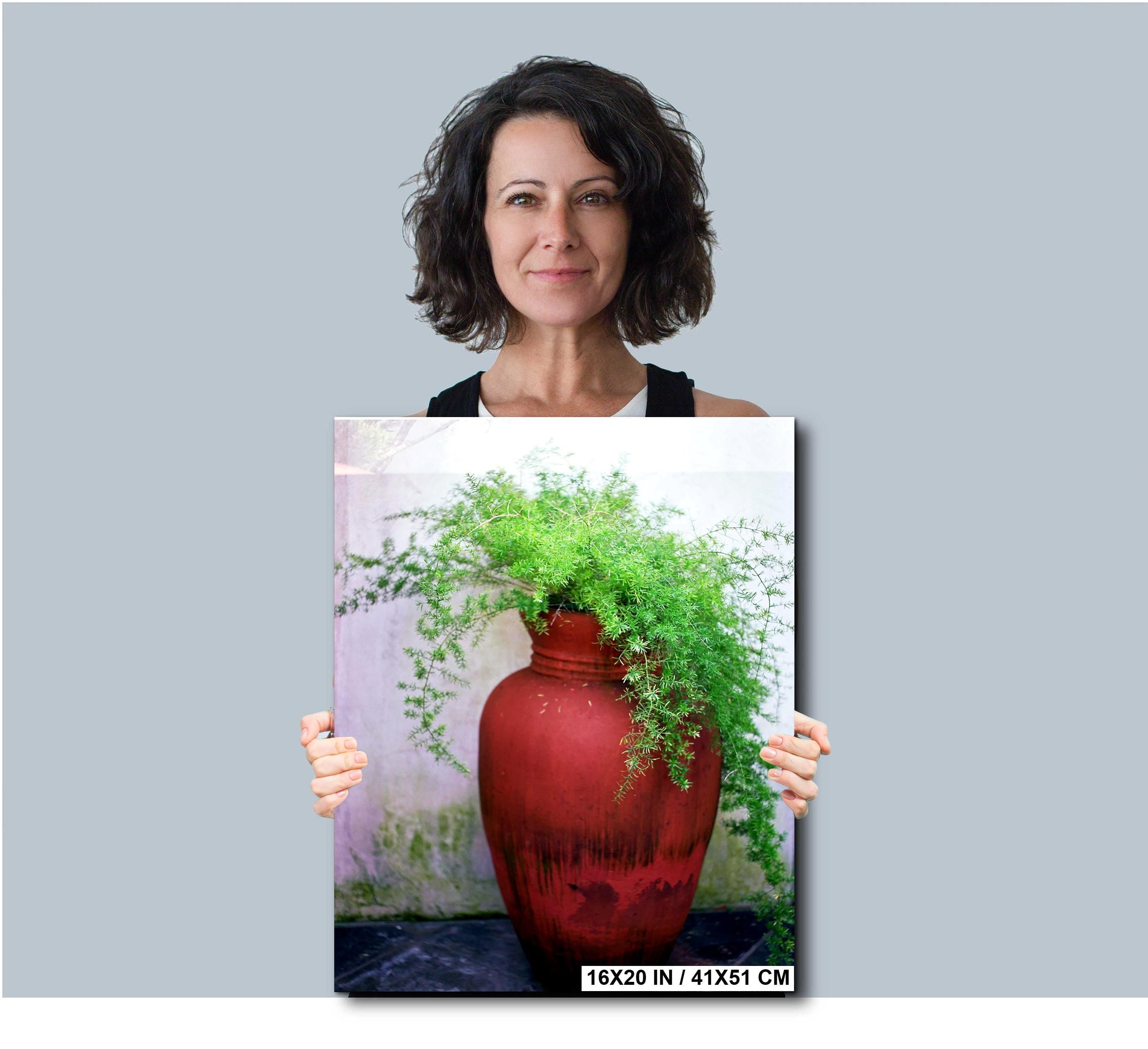 Floral Photography Print – Colorful Botanical Wall Art | Potted Fern Decor