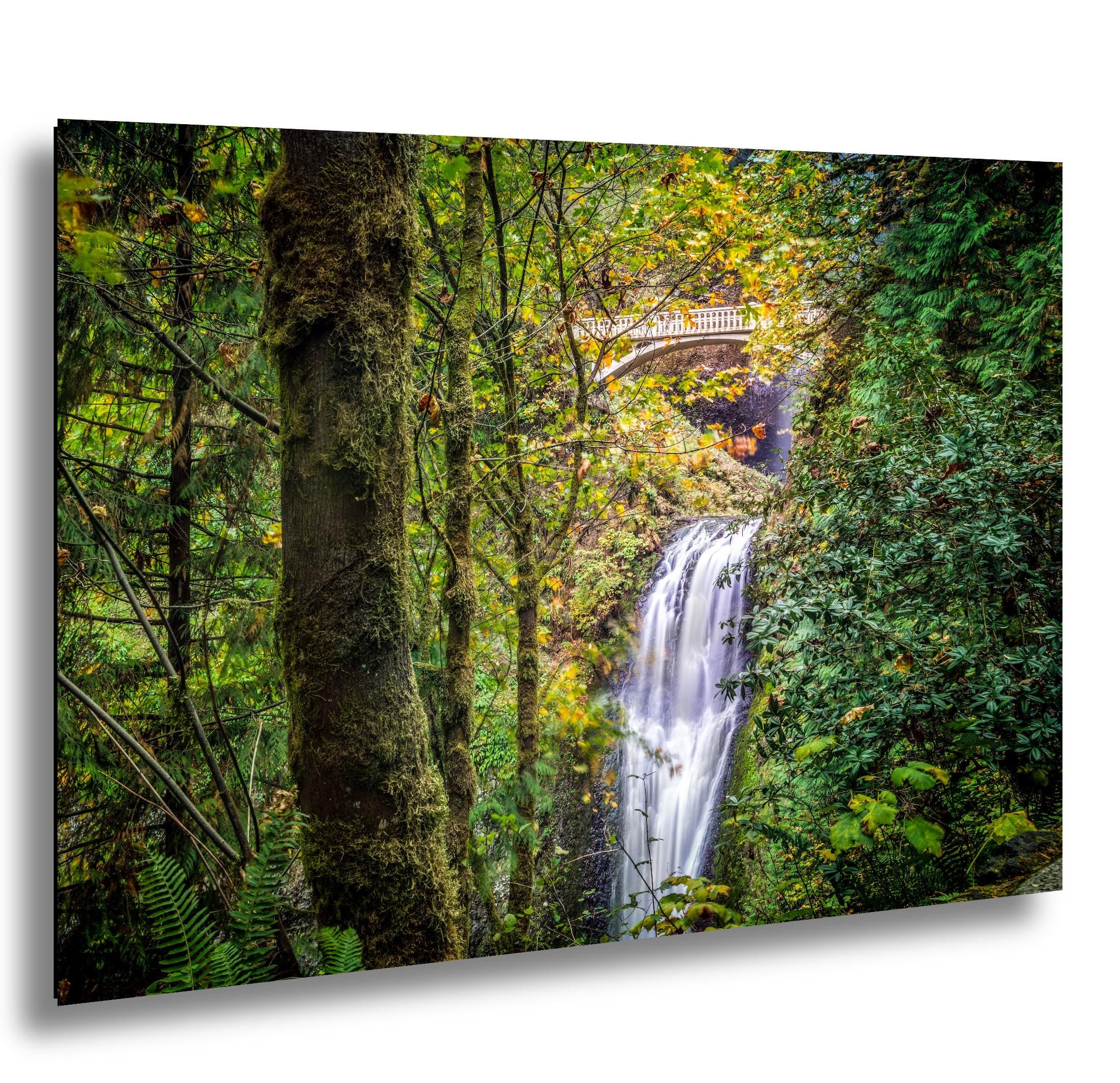Pacific Northwest Waterfall Print – Columbia Gorge Photography & Scenic Waterfall Art