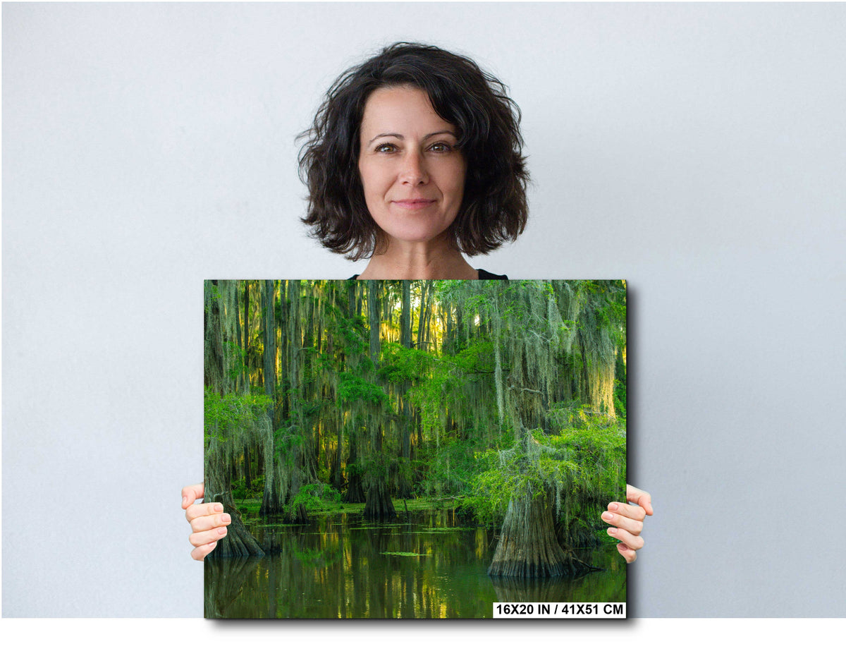 Serene Swamp Wall Art — Cypress Trees, Moss and Water Reflection