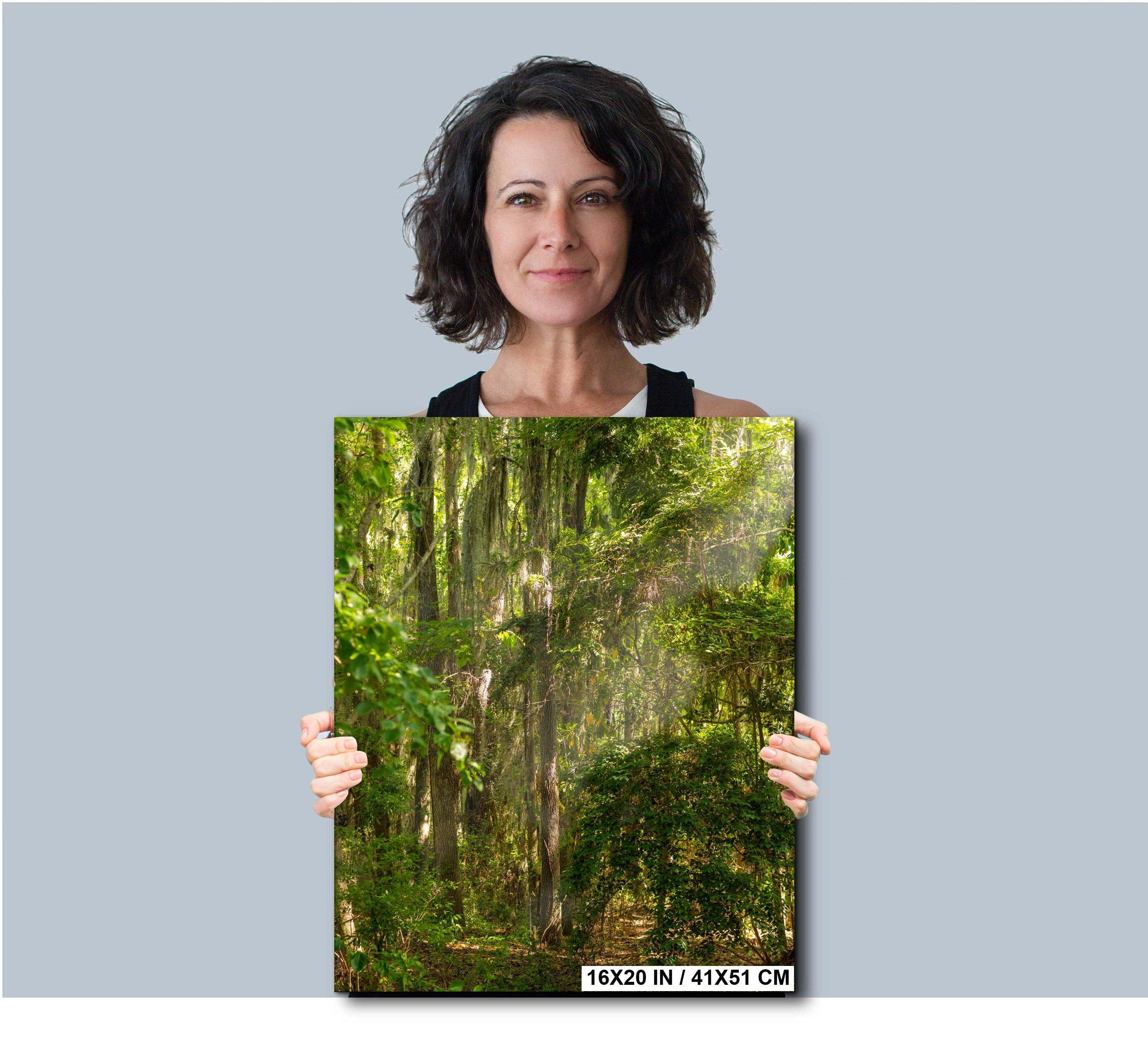 Savannah Wall Art | Coastal Georgia Art Print With Spanish Moss & Southern Charm