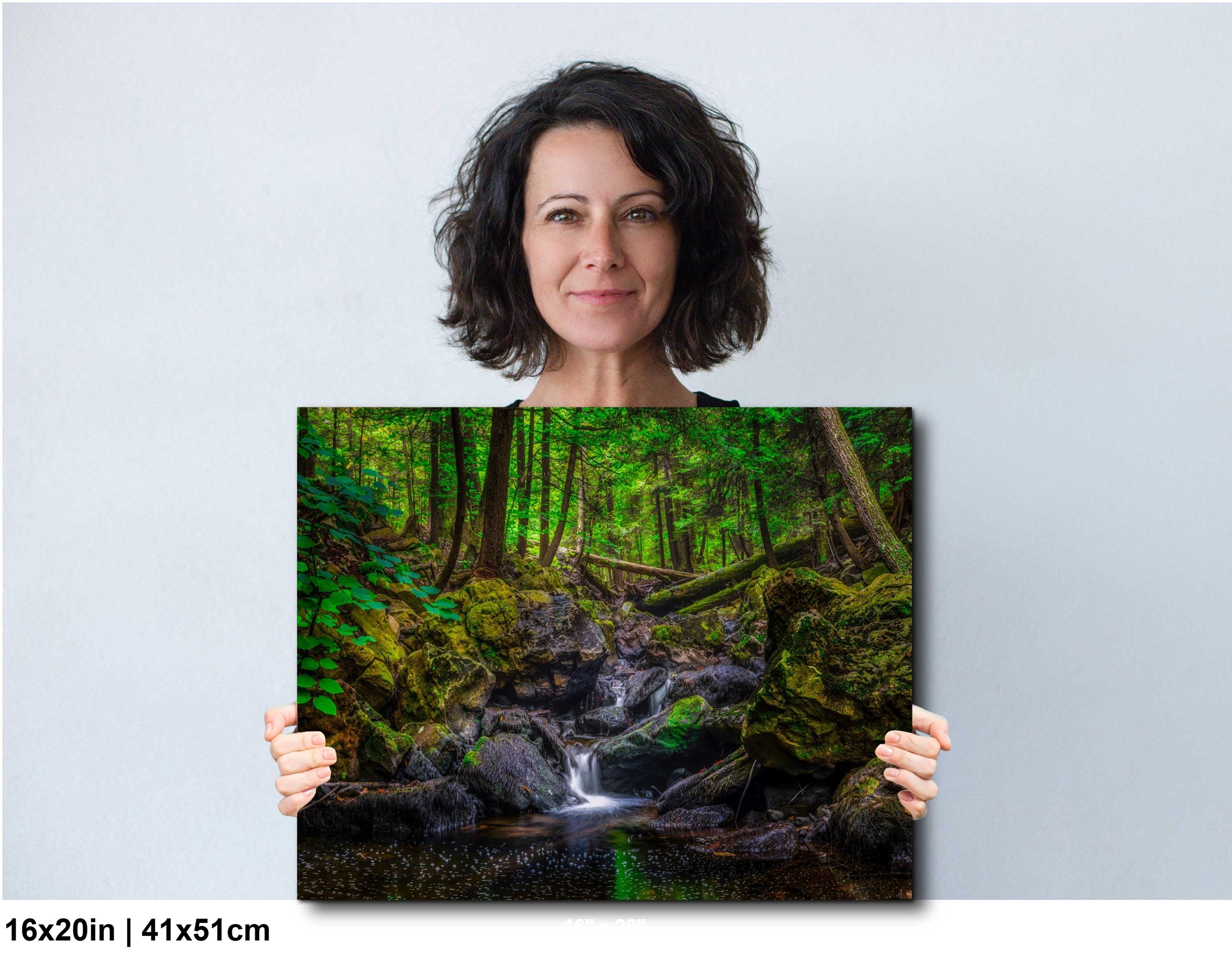 Ricketts Glen Waterfall Print – Pennsylvania Waterfall Art | Archival Photographic Fine Art