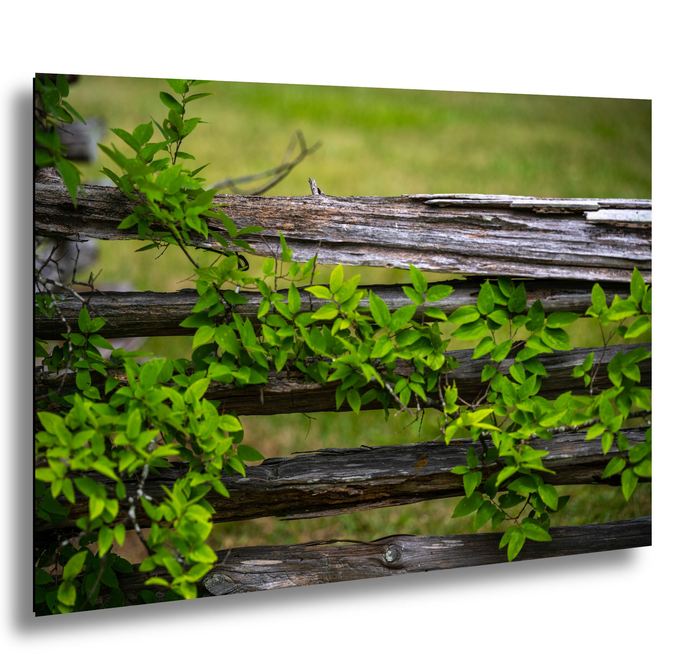 Virginia Landscape Print – Rustic Wall Art Featuring Vintage Rural Scene & Southern Charm Decor