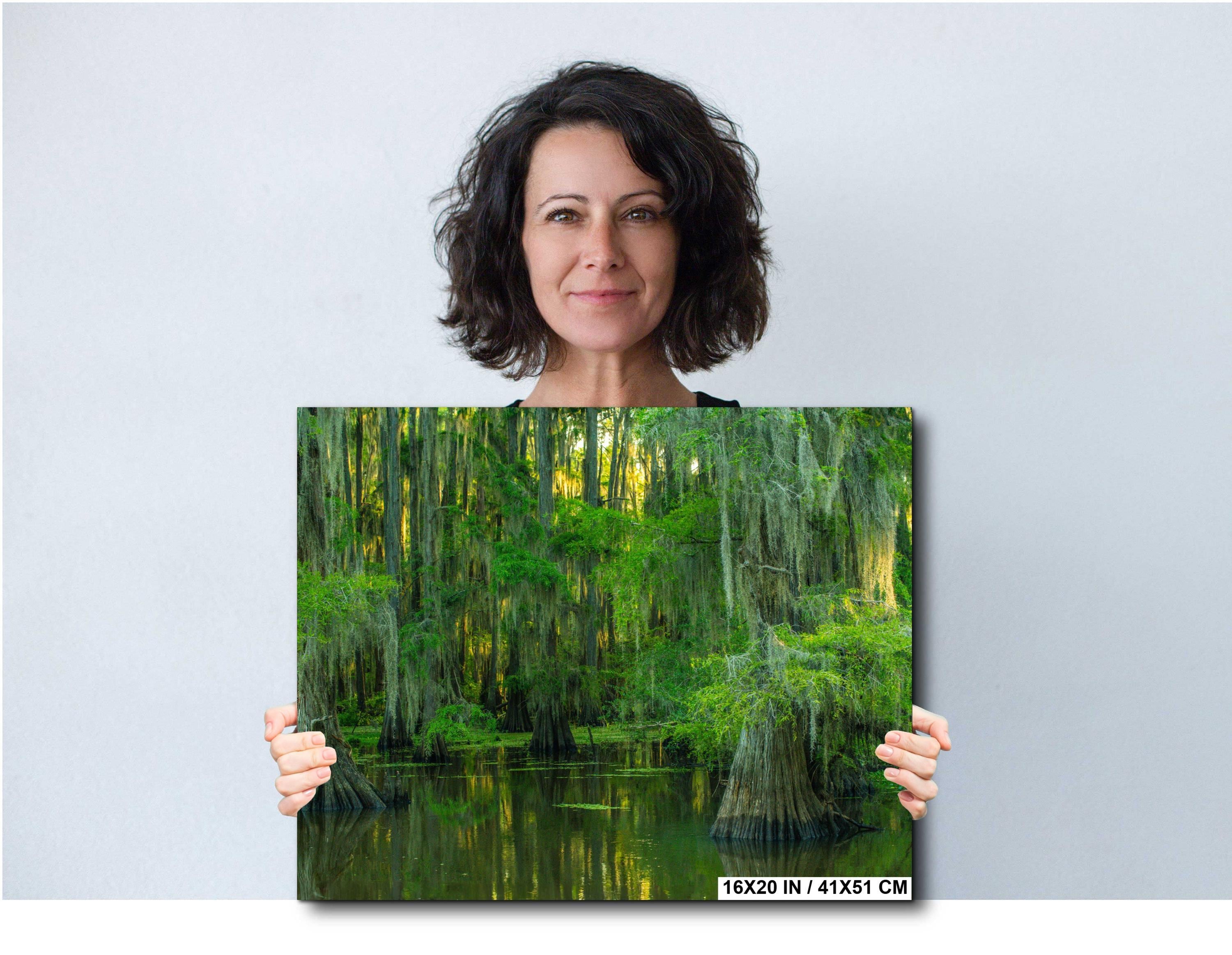 Texas Landscape Art – Cypress Swamp Photography Print | Misty Trees & Spanish Moss