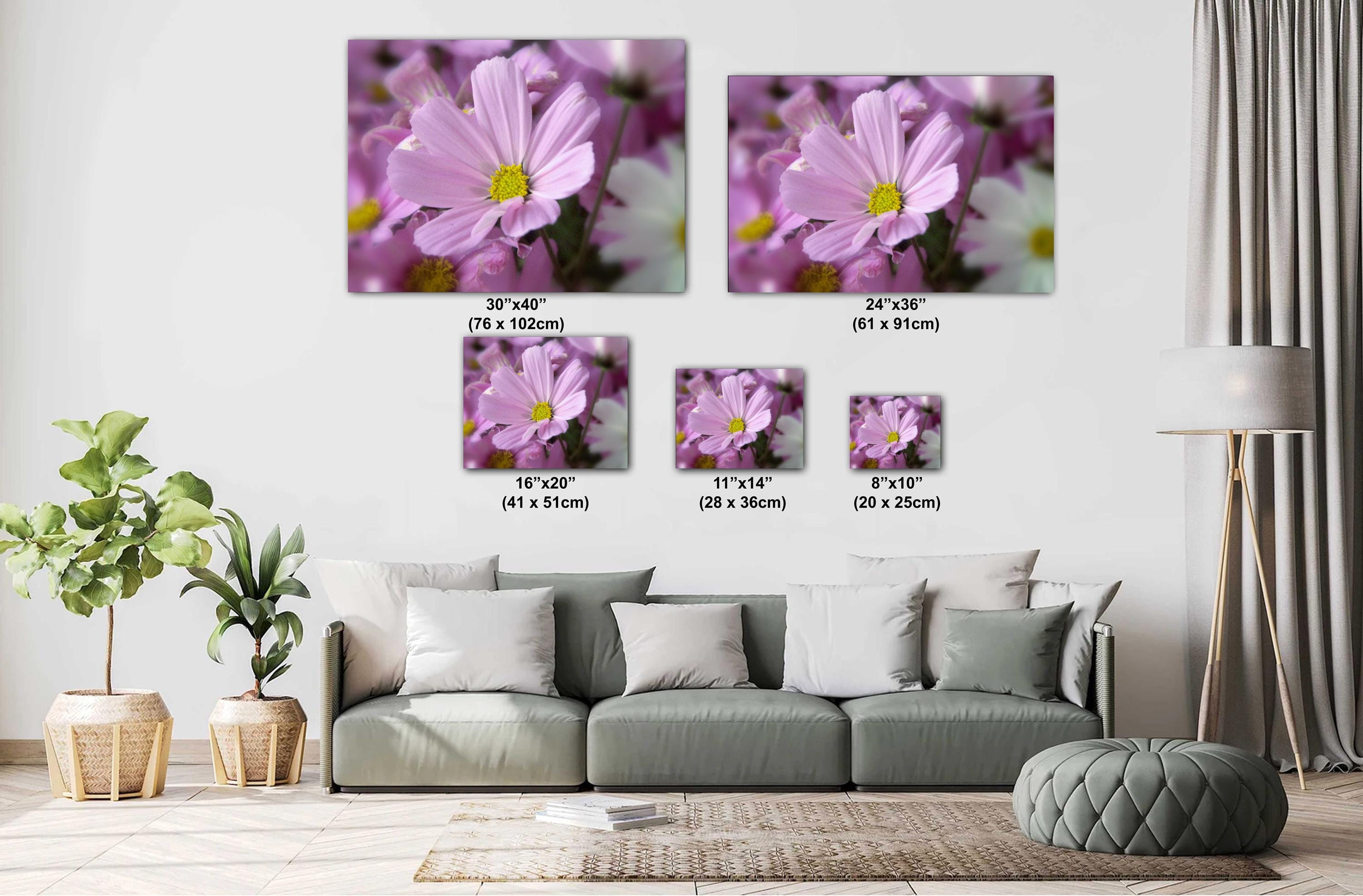 Floral Photography Print - Colorful Flower Wall Art for Living Room & Office Decor