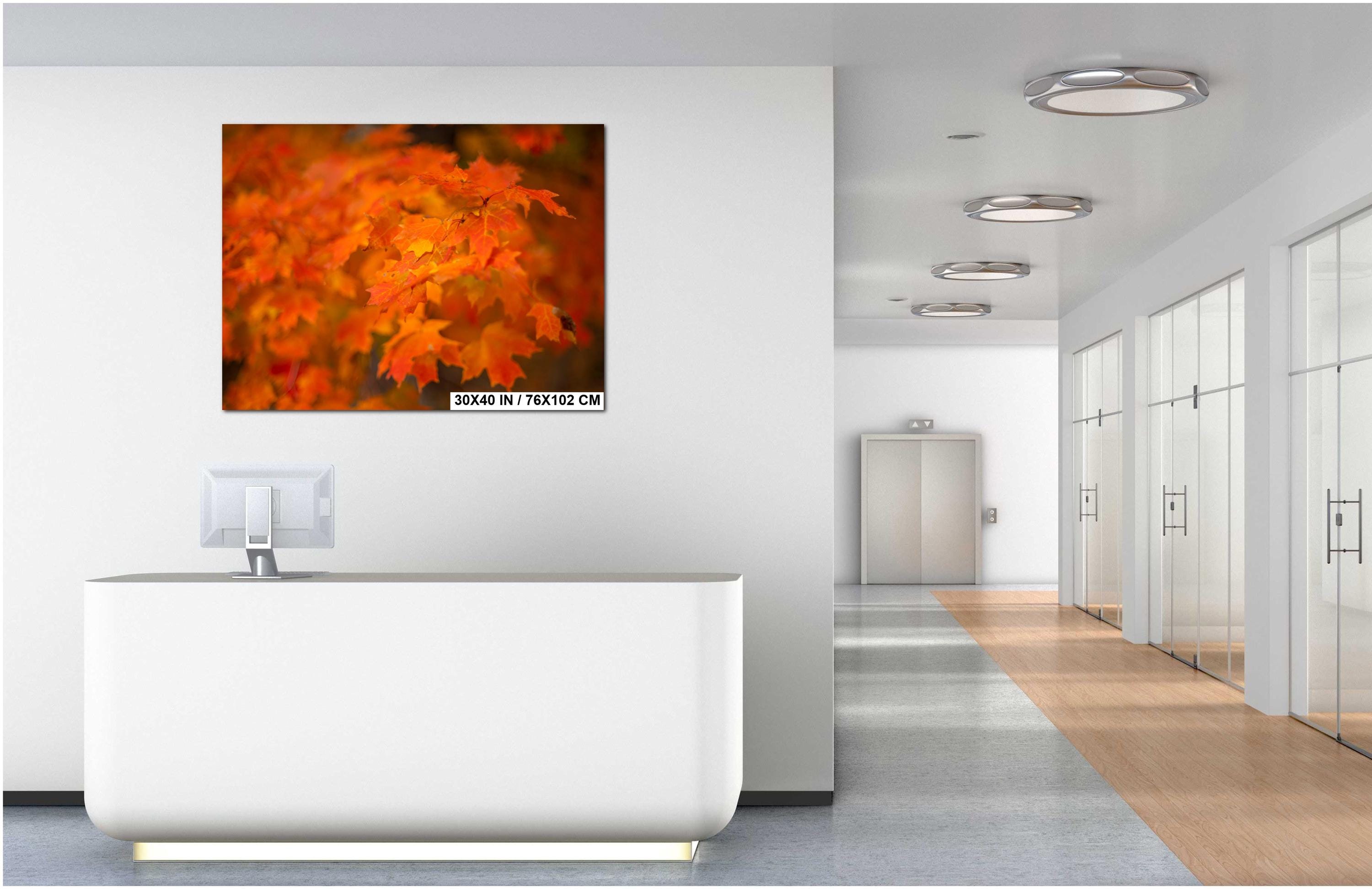 Adirondack Autumn Print - Vibrant Fall Foliage Art | Scenic Forest Artwork