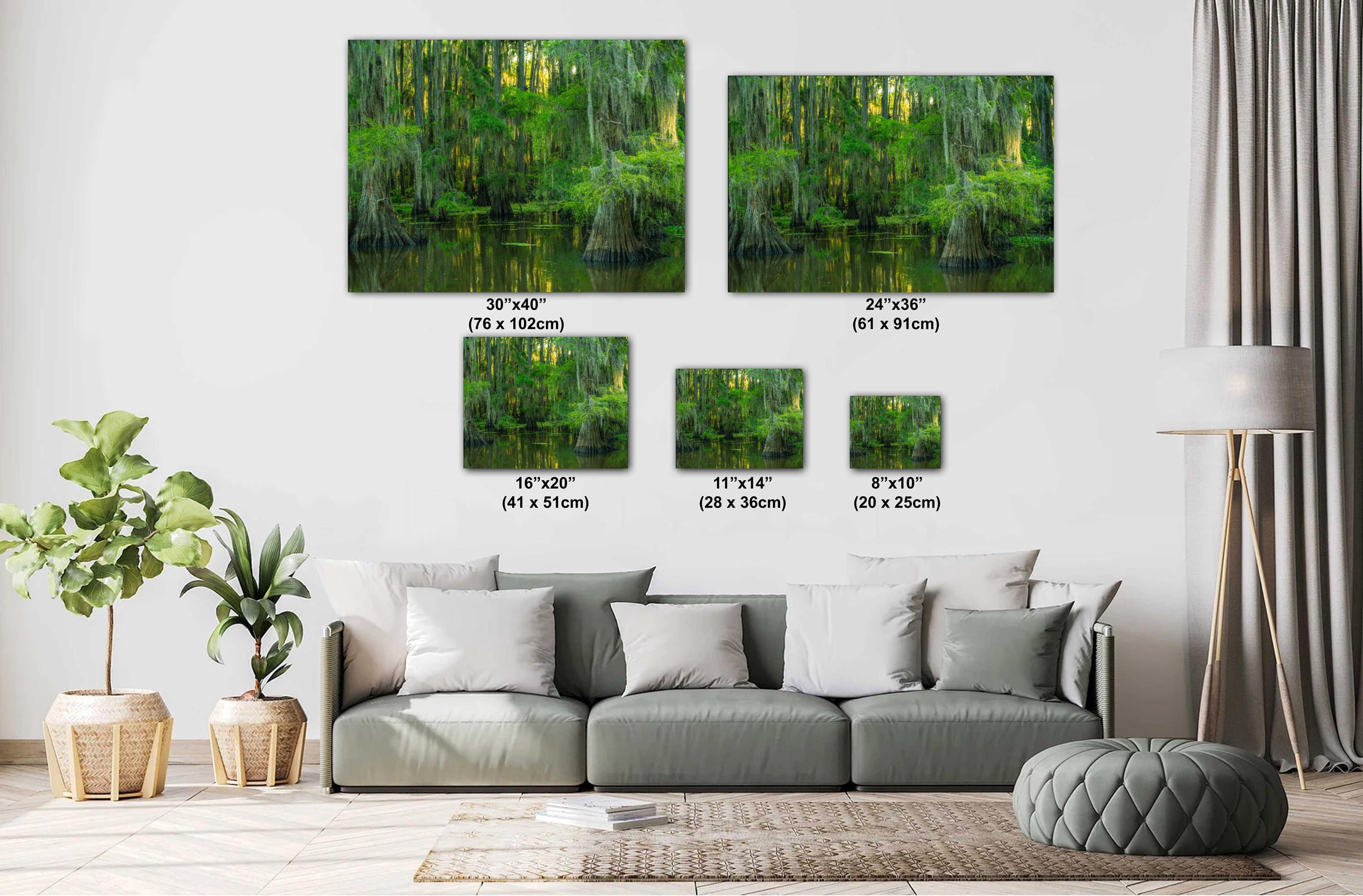 Texas Landscape Art – Cypress Swamp Photography Print | Misty Trees & Spanish Moss