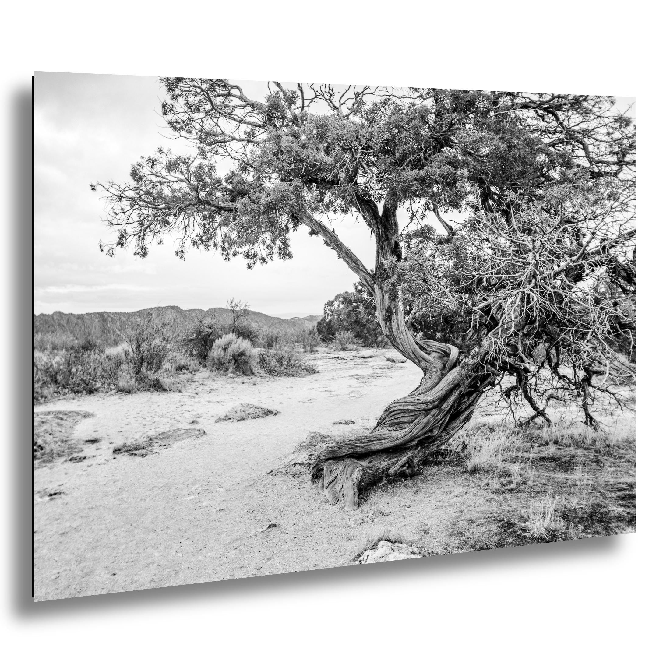 Black Canyon Print - Colorado Fine Art Photography | Dramatic Canyon Wall Decor