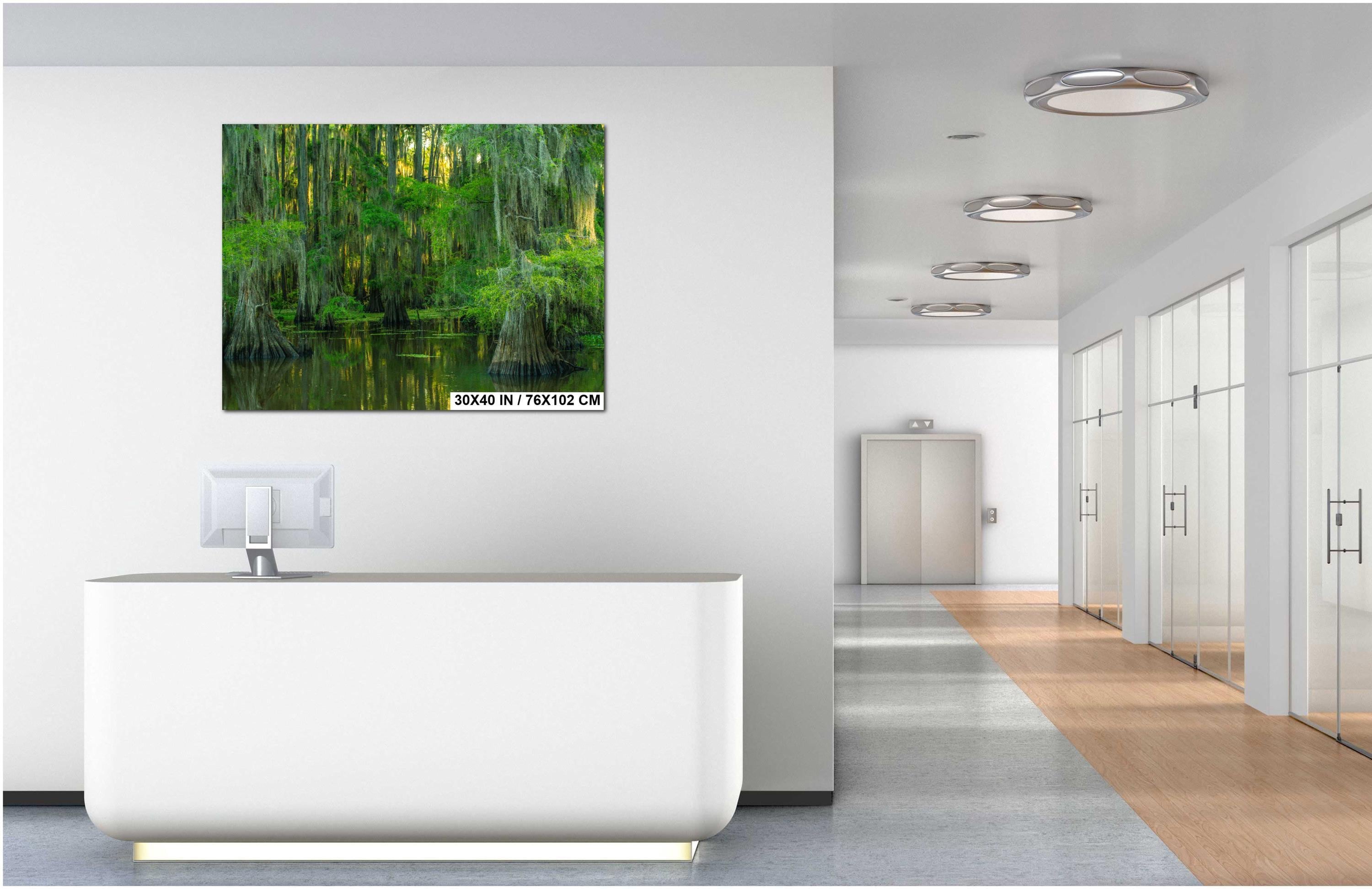 Texas Landscape Art – Cypress Swamp Photography Print | Misty Trees & Spanish Moss