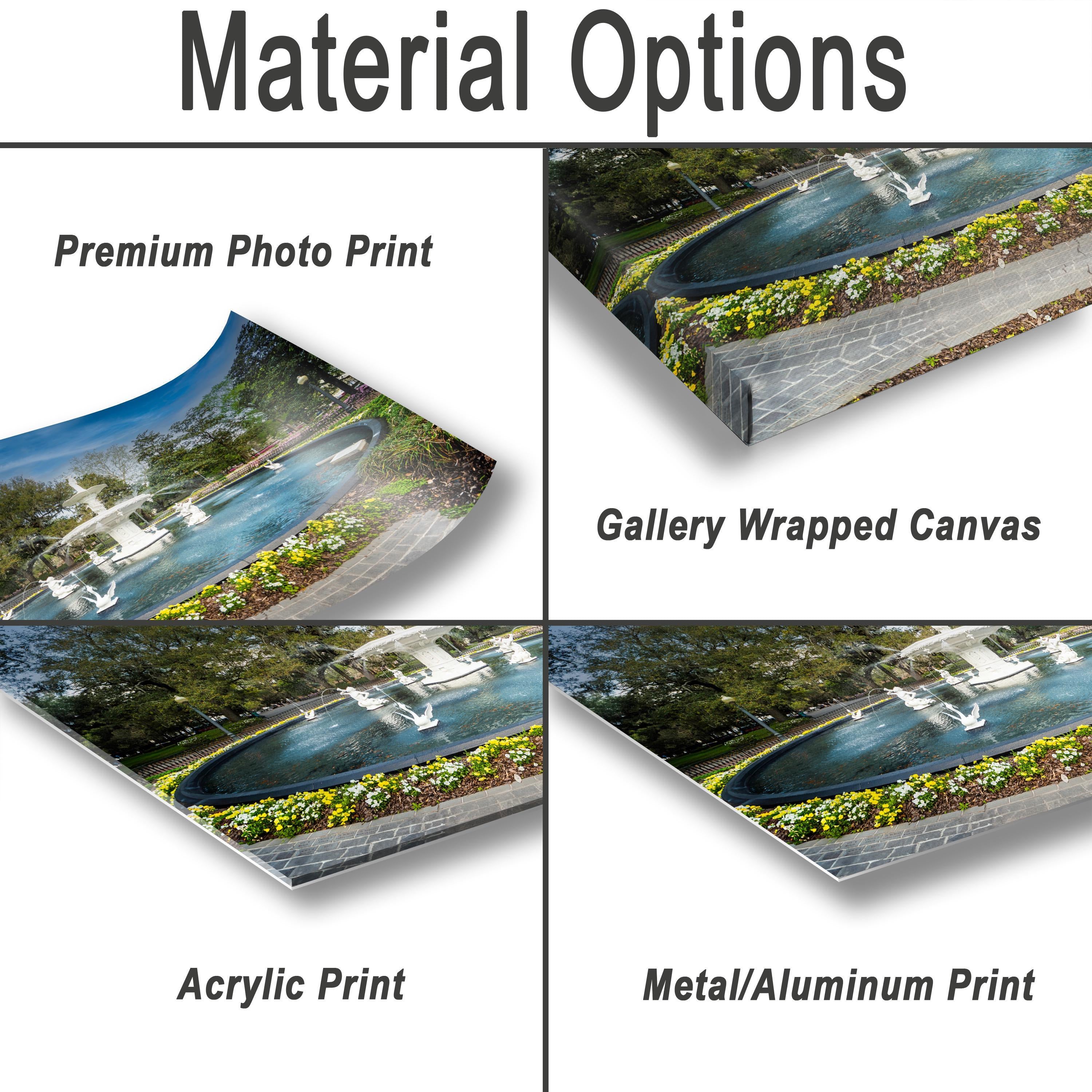 Savannah Forsyth Fountain Print – Historic Southern Landmark Art Photography