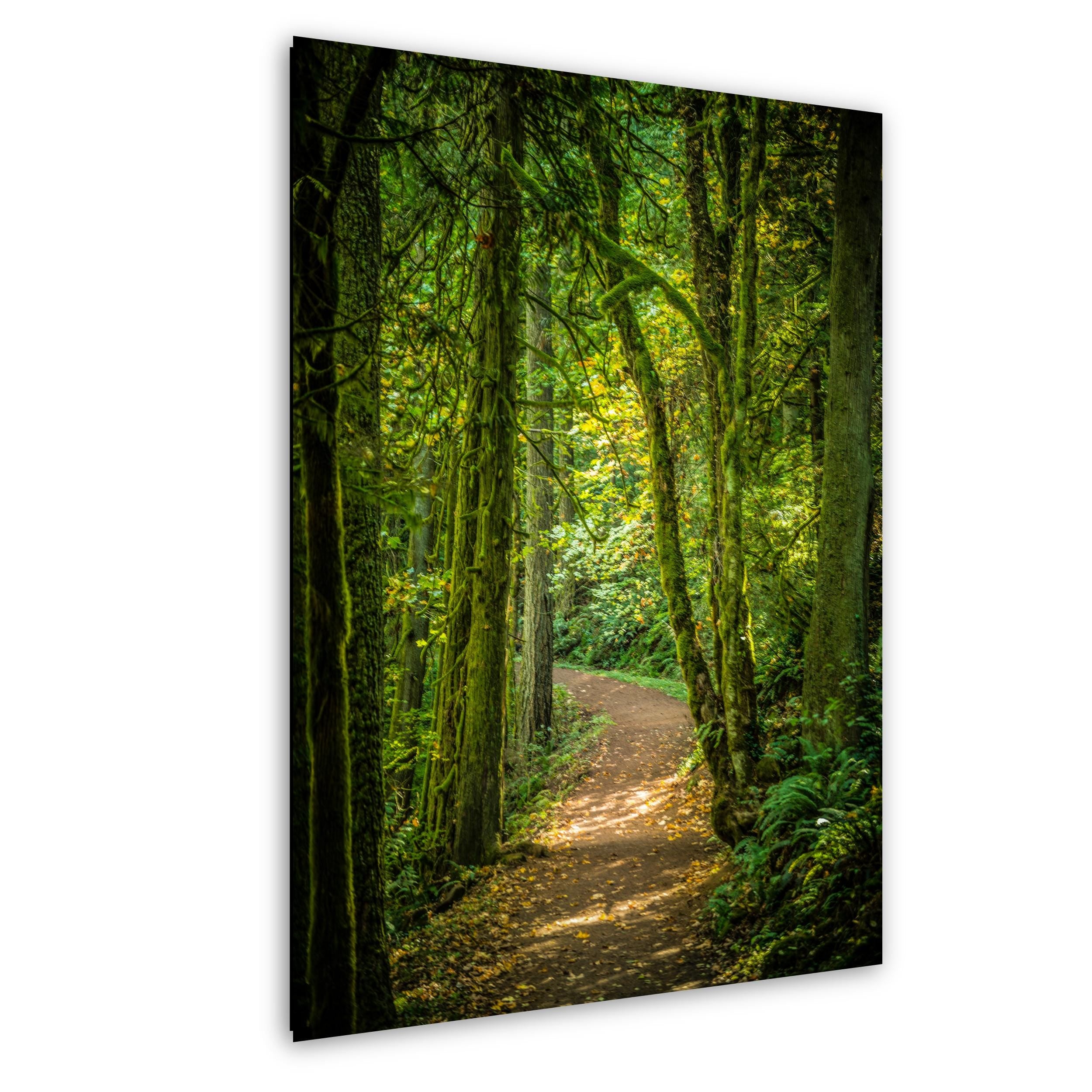 Columbia River Gorge Art - Pacific Northwest Print | Scenic Waterfall Photo Print Wall Decor