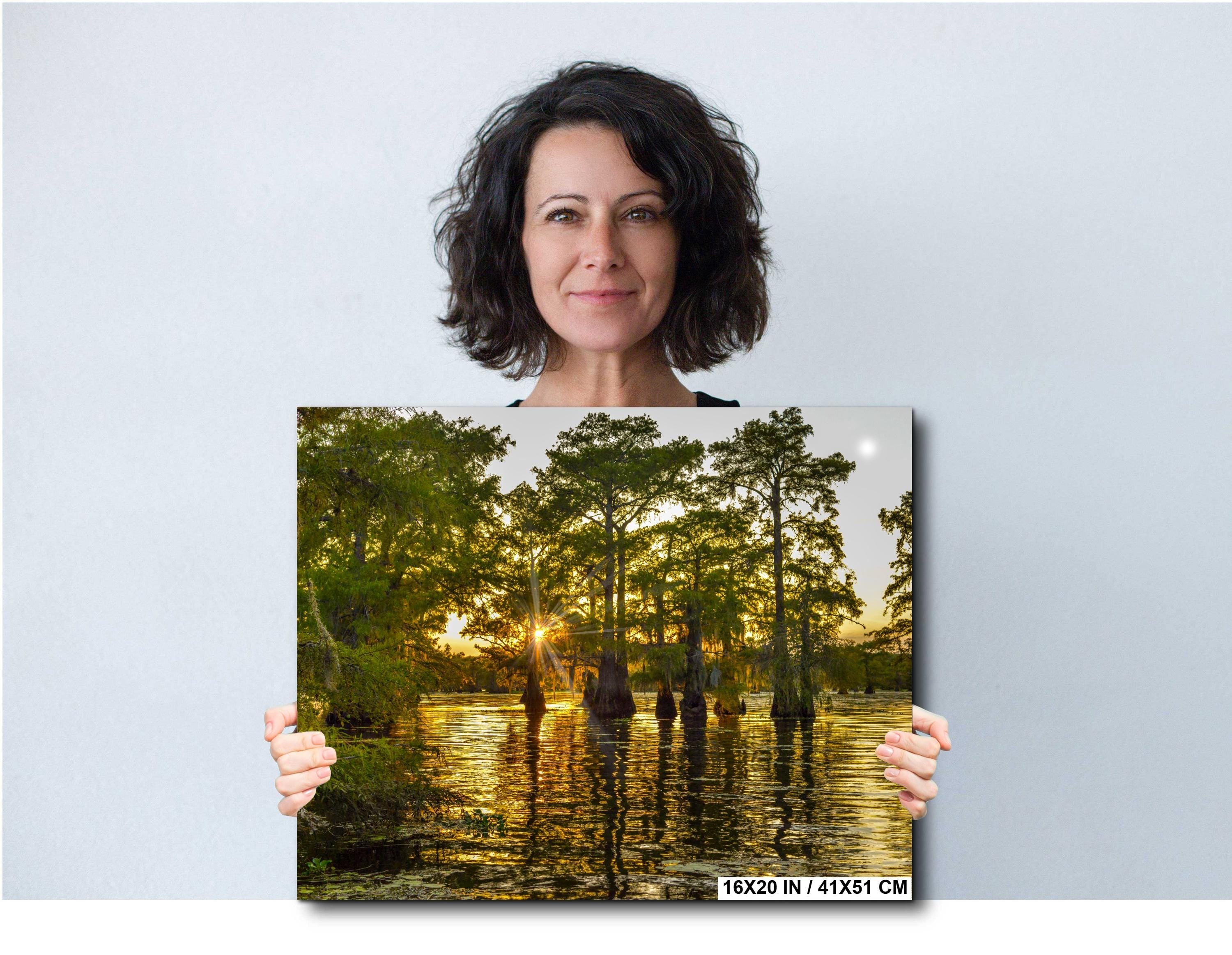 Caddo Lake Photography Print – Texas Swamp Art | Bayou Landscape Wall Decor