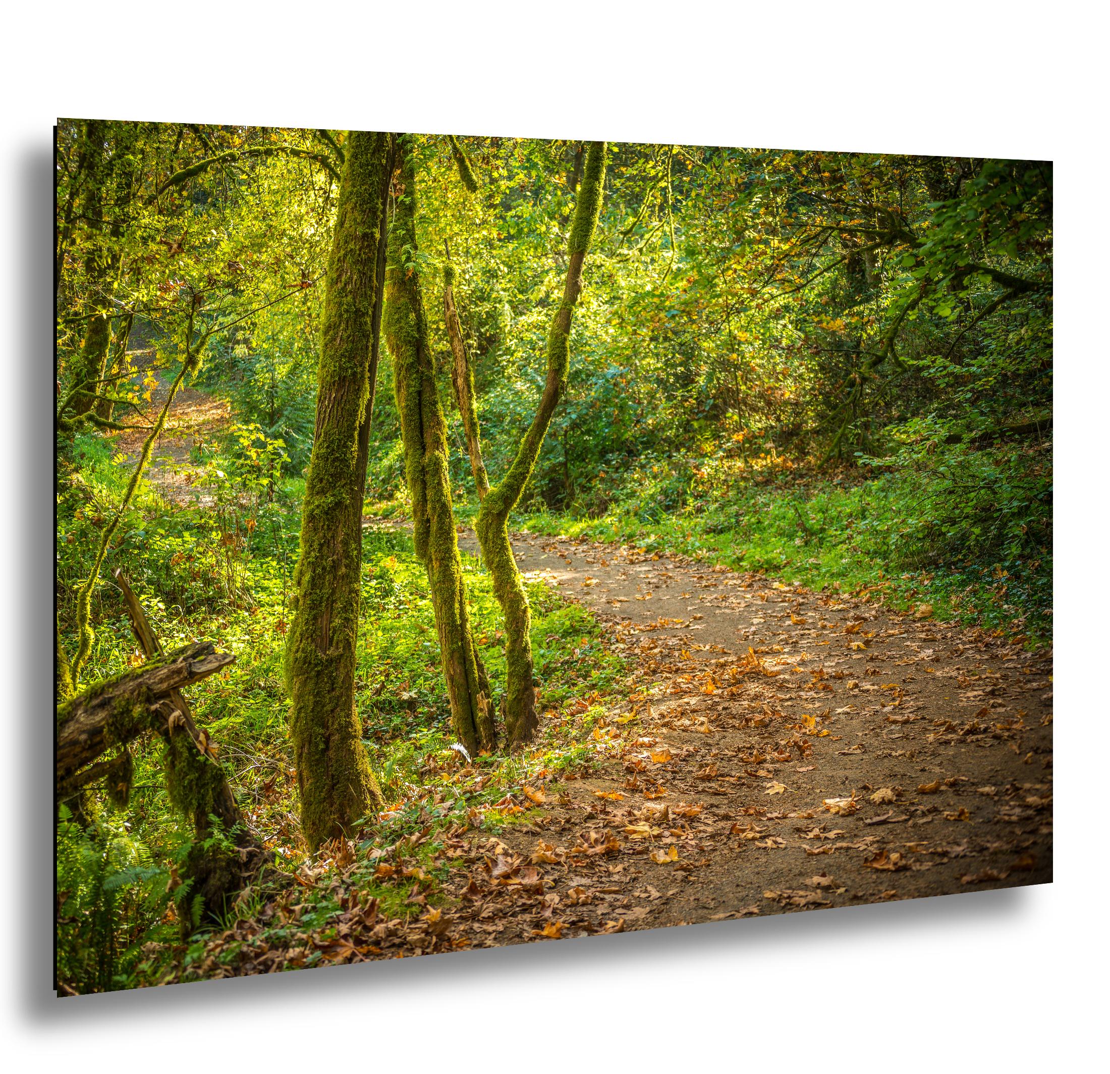Columbia River Gorge Print – Pacific Northwest Wall Art Waterfall Photo Art