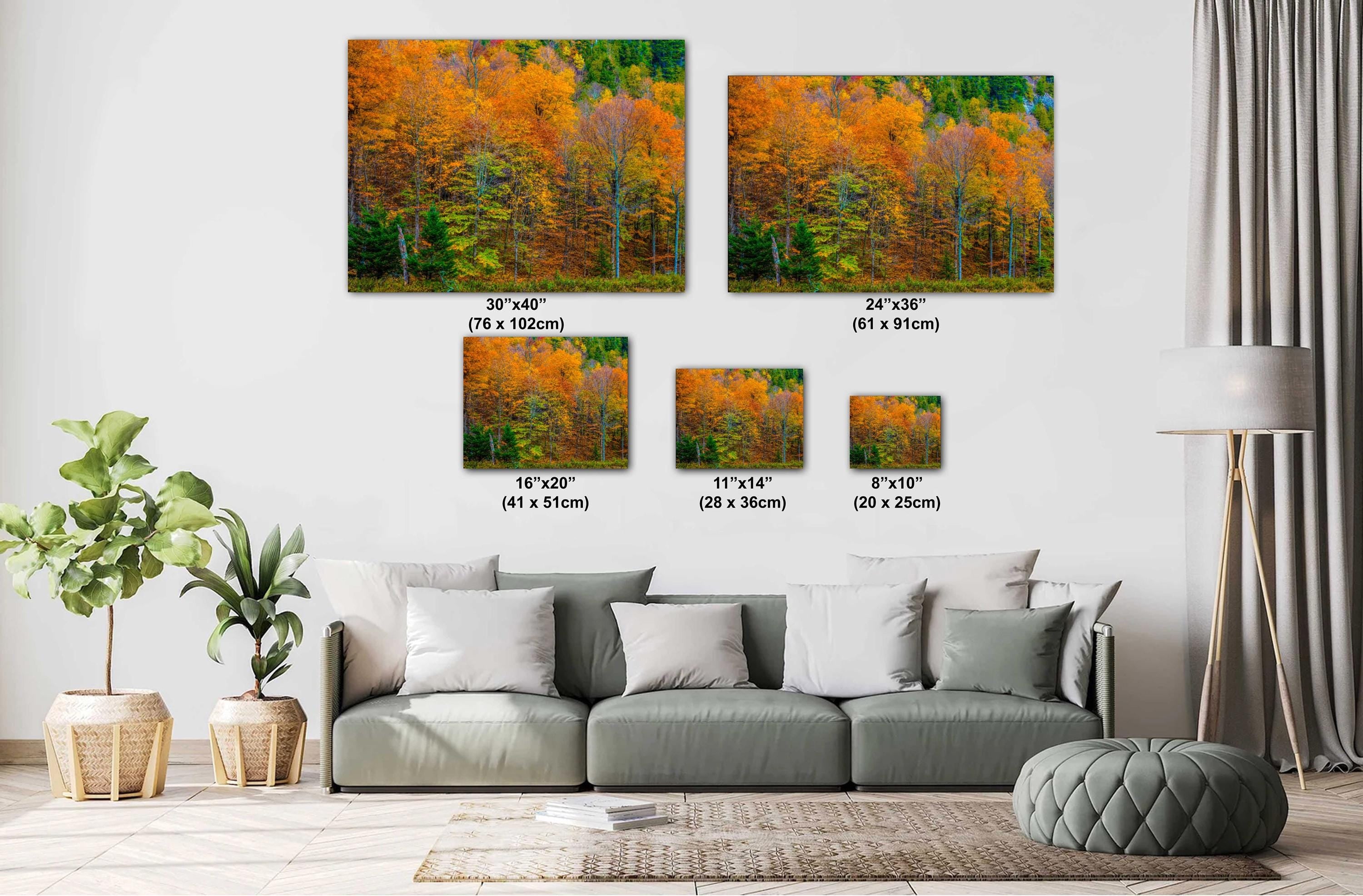 Adirondack Autumn Wall Art – Vibrant Fall Foliage Photography Print with Fiery Maple Leaves