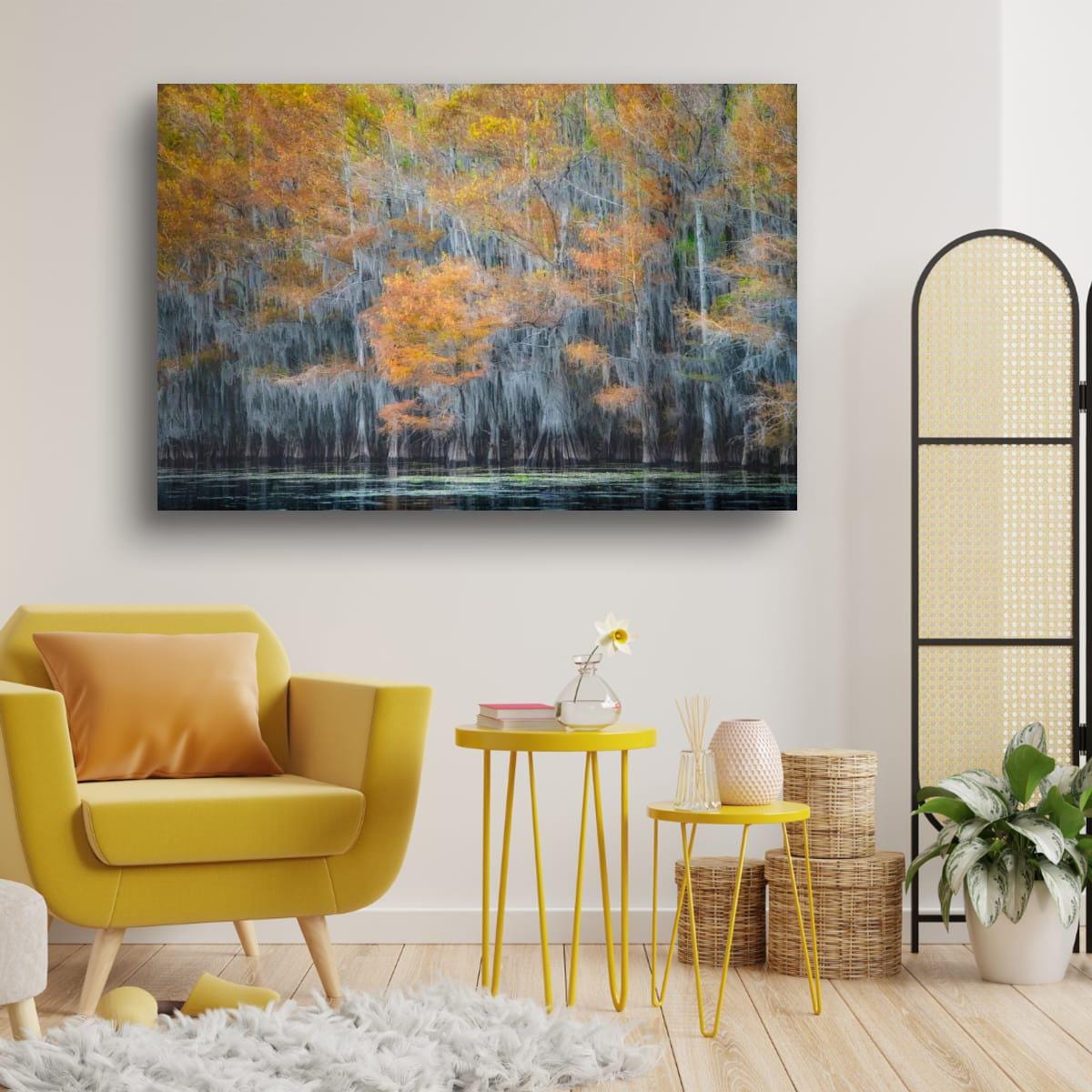 Lake Caddo Photography Print – Cypress Swamp Art | Texas Nature Decor