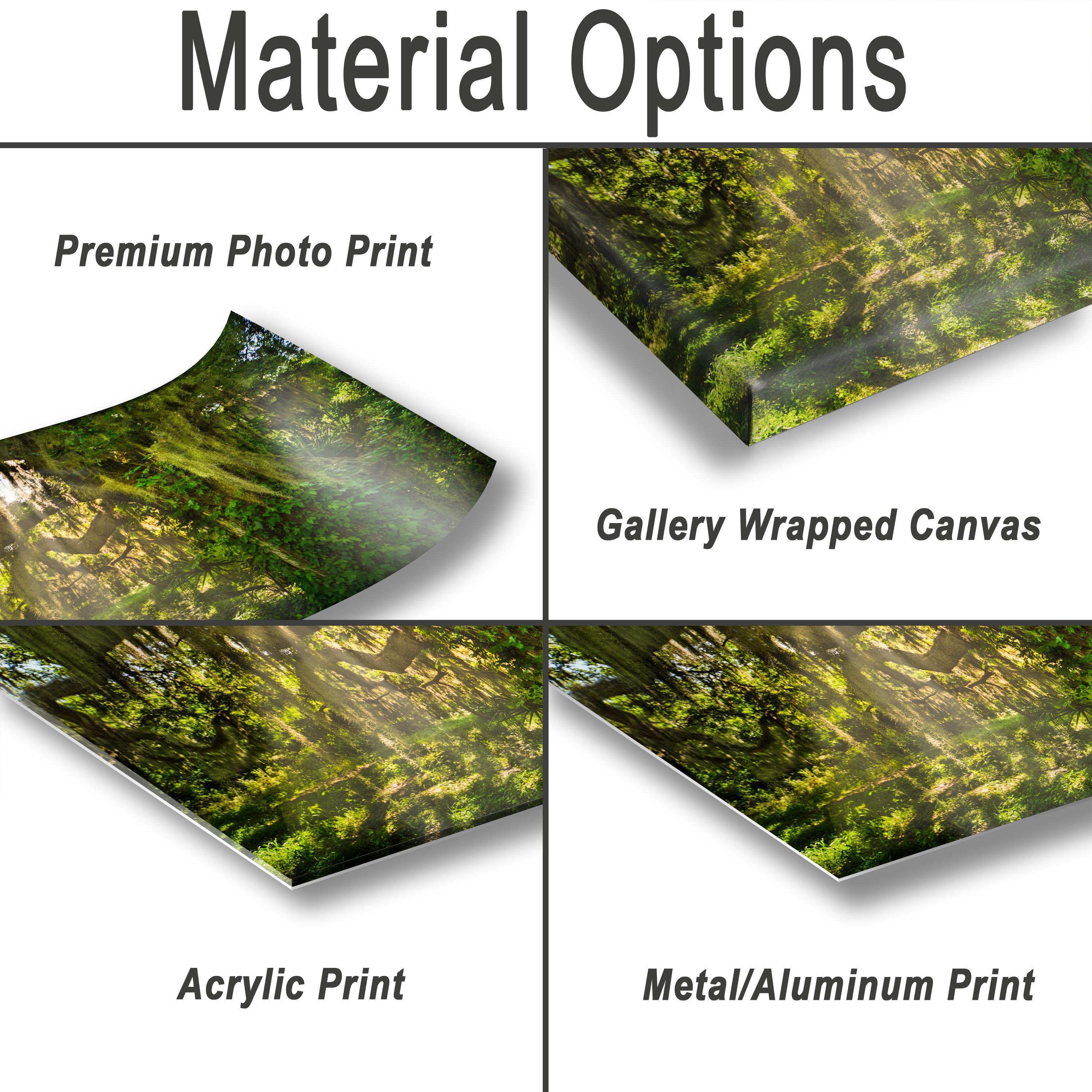 Savannah Photography Print – Southern Woods Art with Spanish Moss Wall Decor