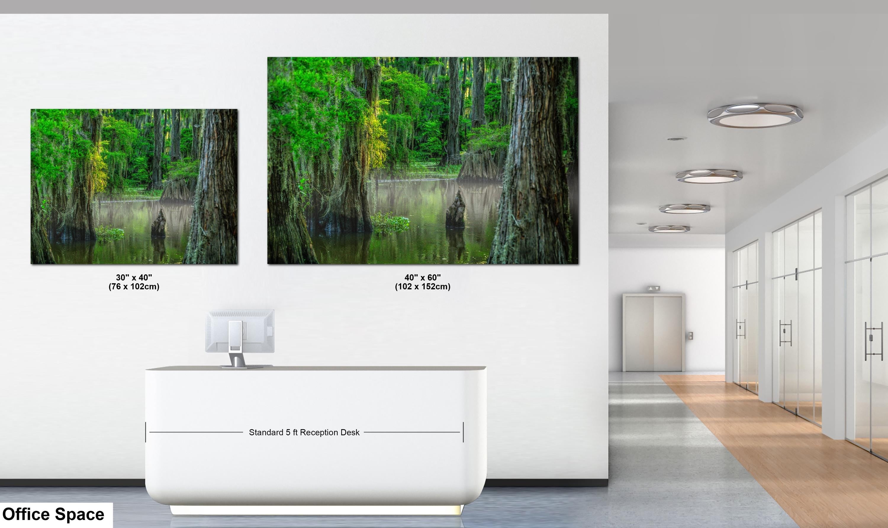 Caddo Lake Wall Art – Nature Photography Print Featuring Cypress Grove Decor