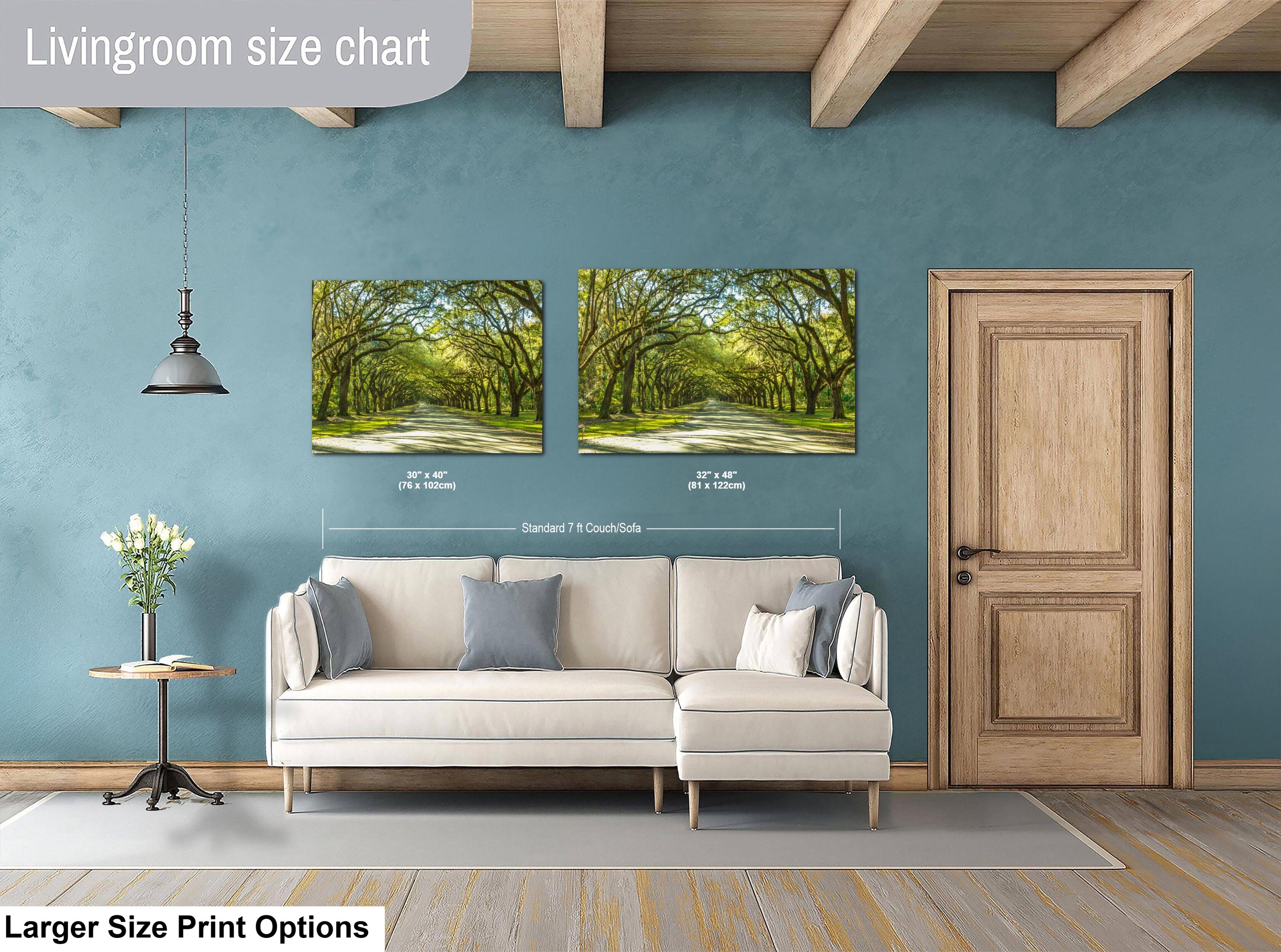 Savannah Photography Print – Wormsloe Plantation Art | Coastal Georgia Landscape