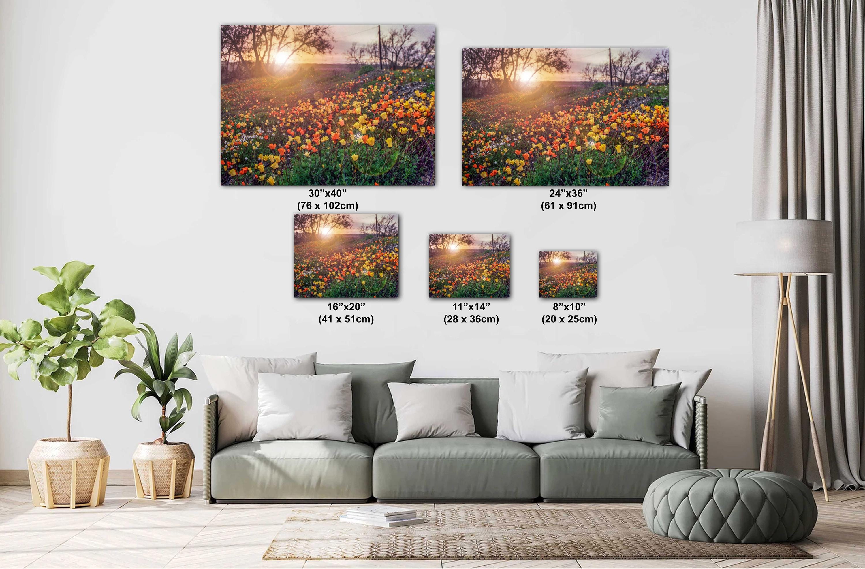 California Poppies Print - Colorful Floral Wall Art | Vibrant Wildflower Photography