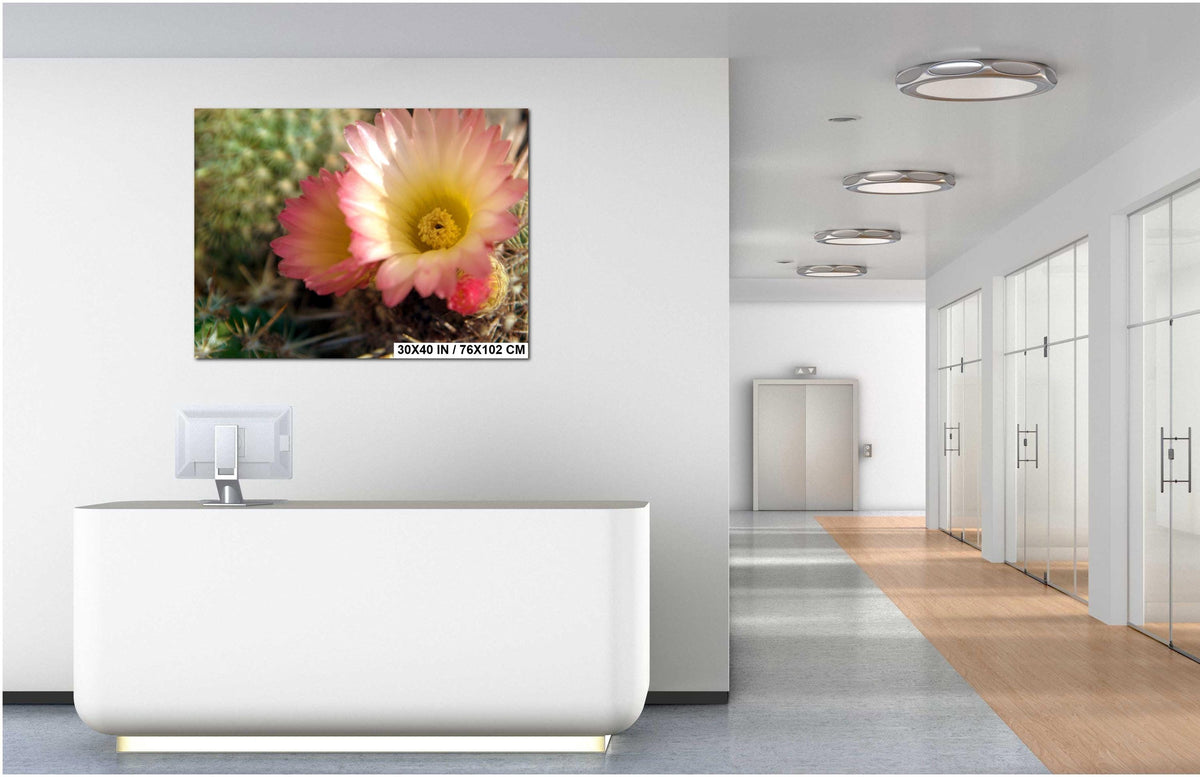 Texas Wildflower Wall Art – Vibrant Floral Photography Print on Archival Paper