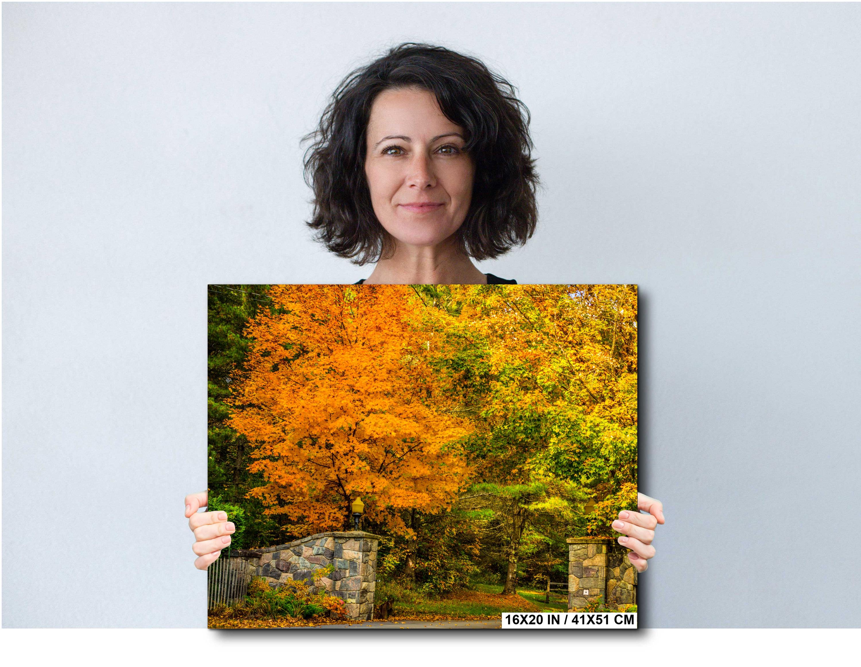 Adirondack Autumn Print – Vibrant Fall Foliage Art on Archival Photo Paper
