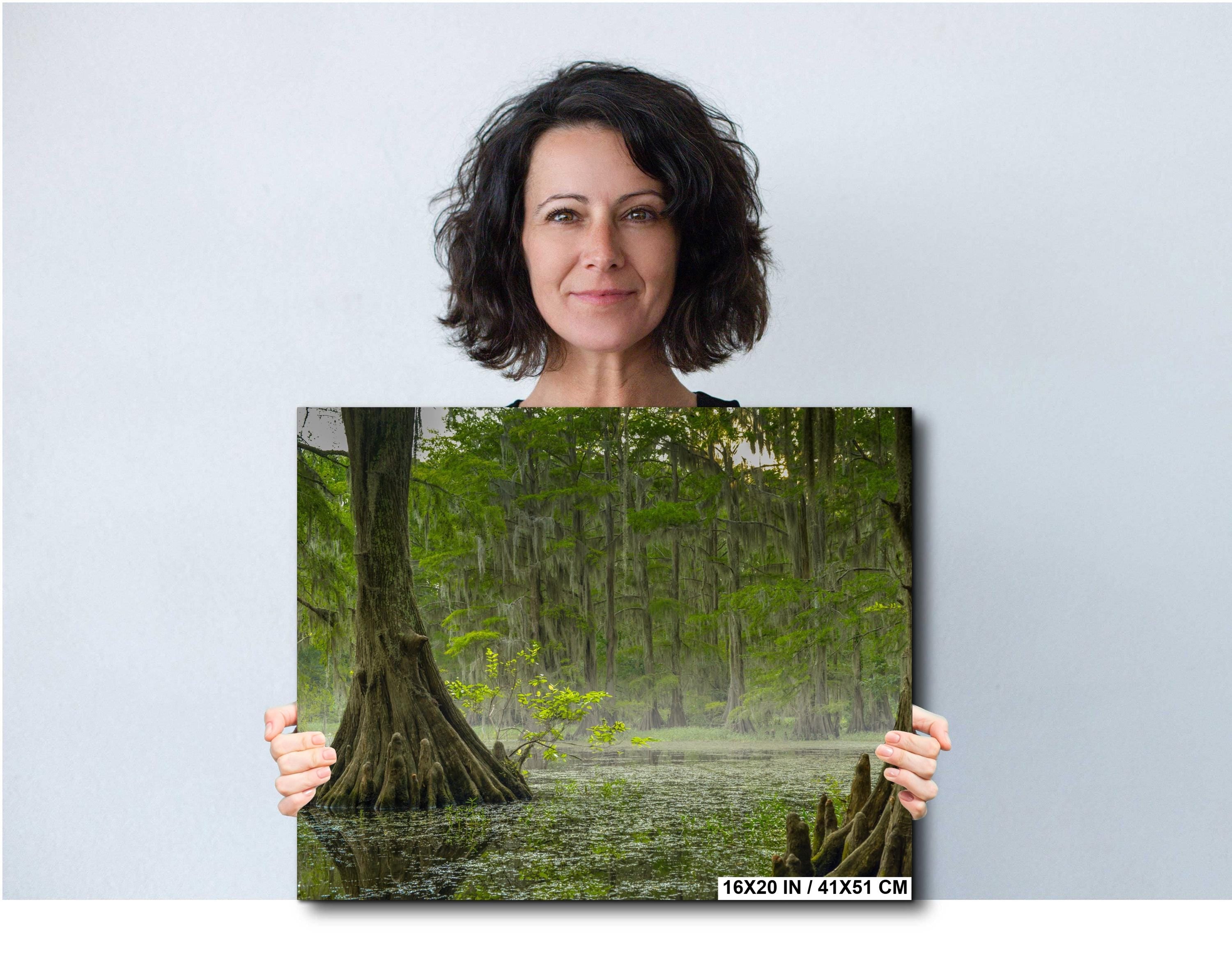 Caddo Lake Wall Art – Misty Lake Artwork | Nature Wall Decor For Home & Office