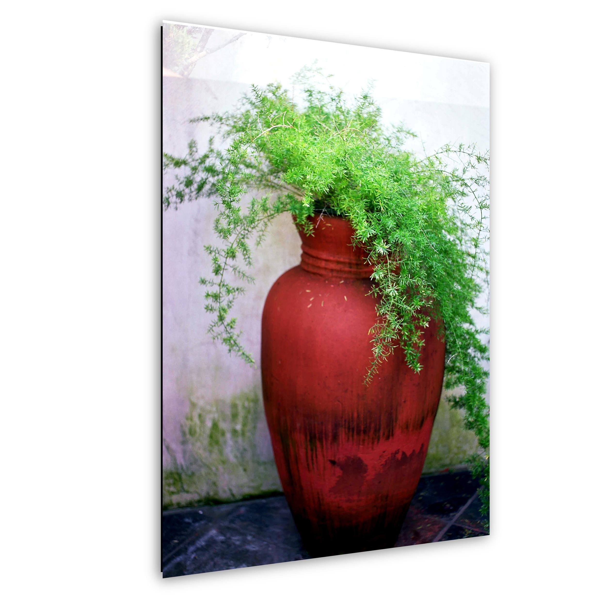 Floral Photography Print – Colorful Botanical Wall Art | Potted Fern Decor