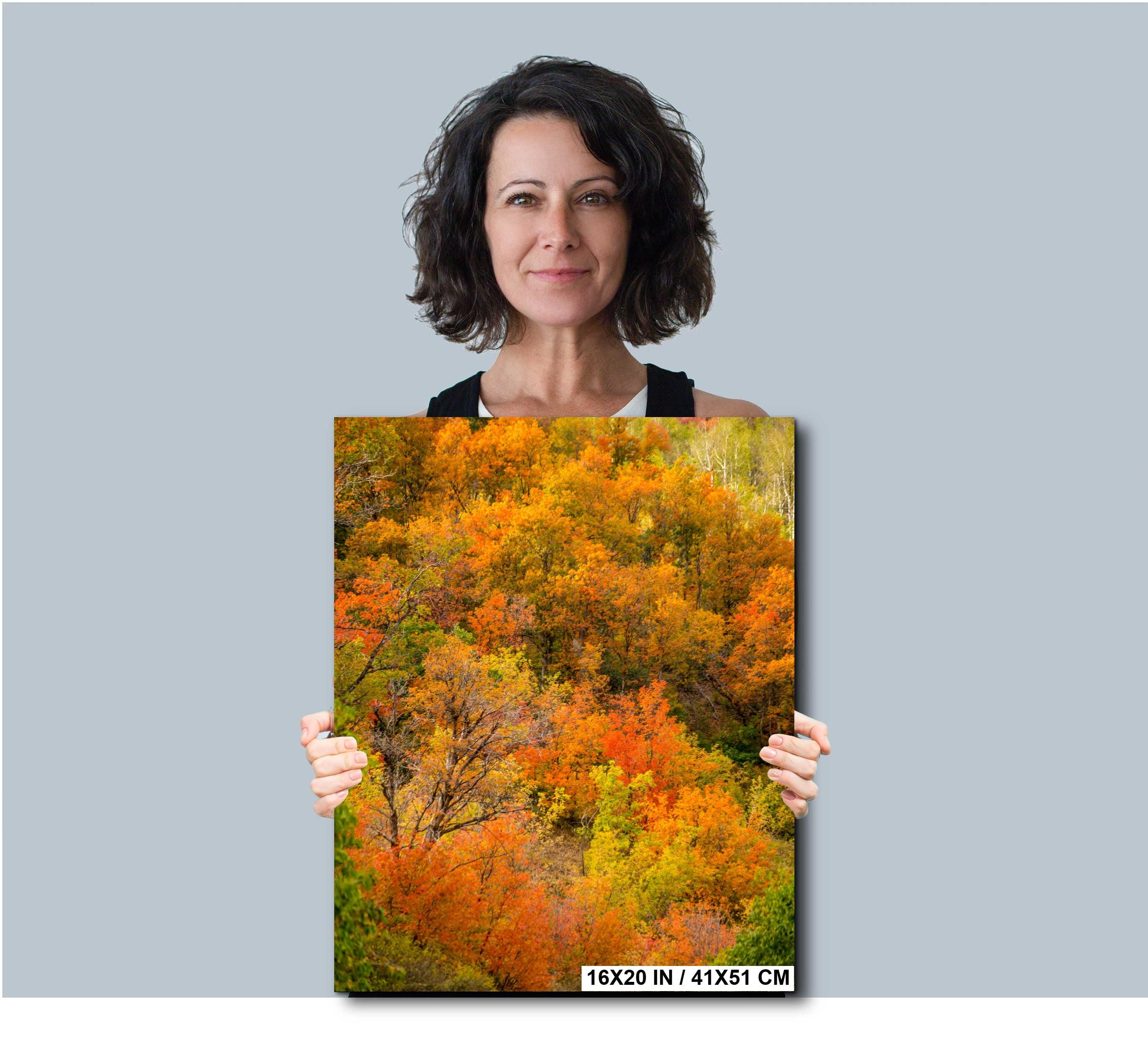 Autumn Mountain Landscape | Wasatch Fall Print - Vibrant Leaf Colors & Scenic Views