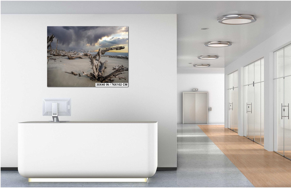 Coastal Driftwood Print – Georgia Landscape Photography Art | Beach Wall Decor