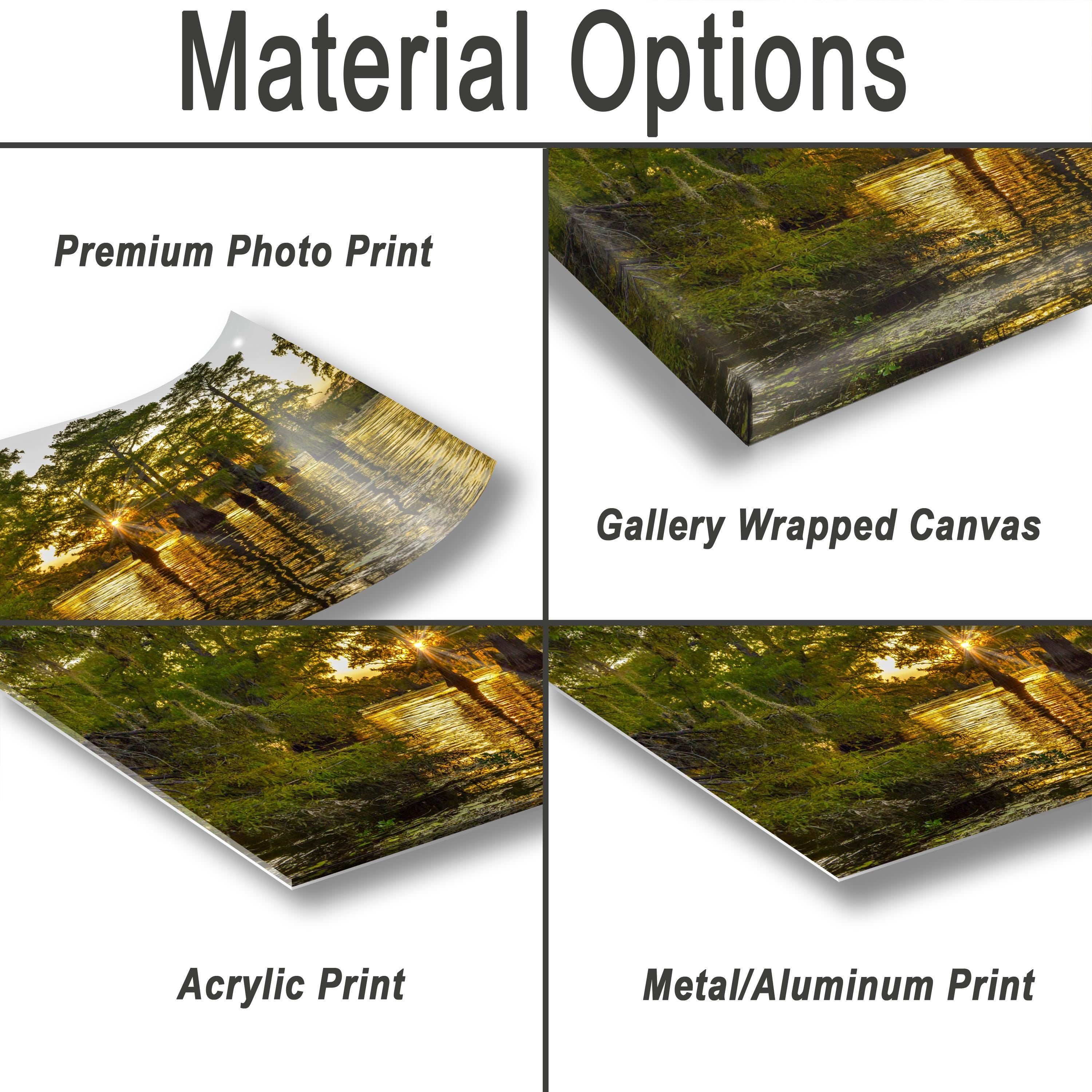 Caddo Lake Photography Print – Texas Swamp Art | Bayou Landscape Wall Decor