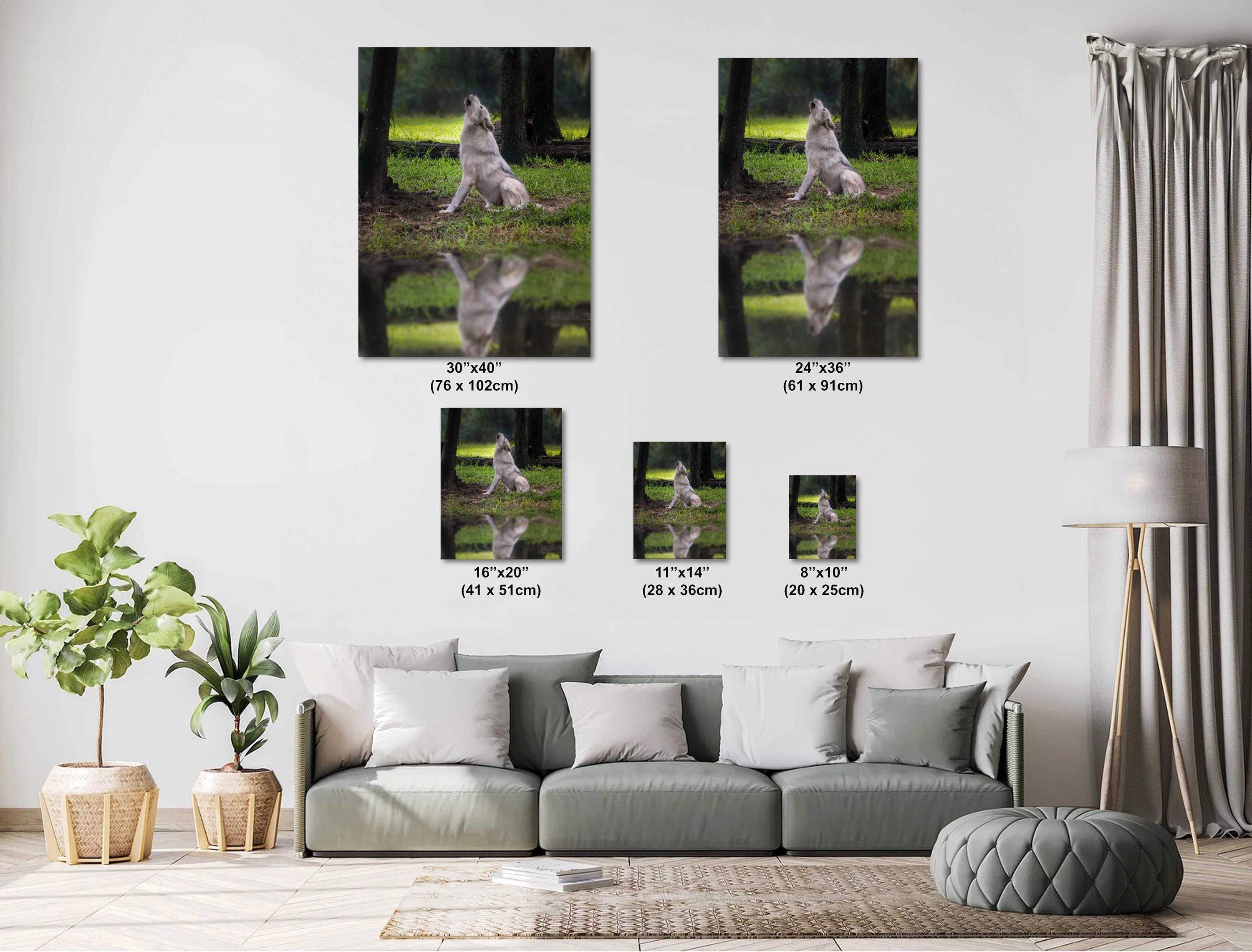 Gray Wolf Art Print - Wildlife Photography Print | Coastal Forest Decor