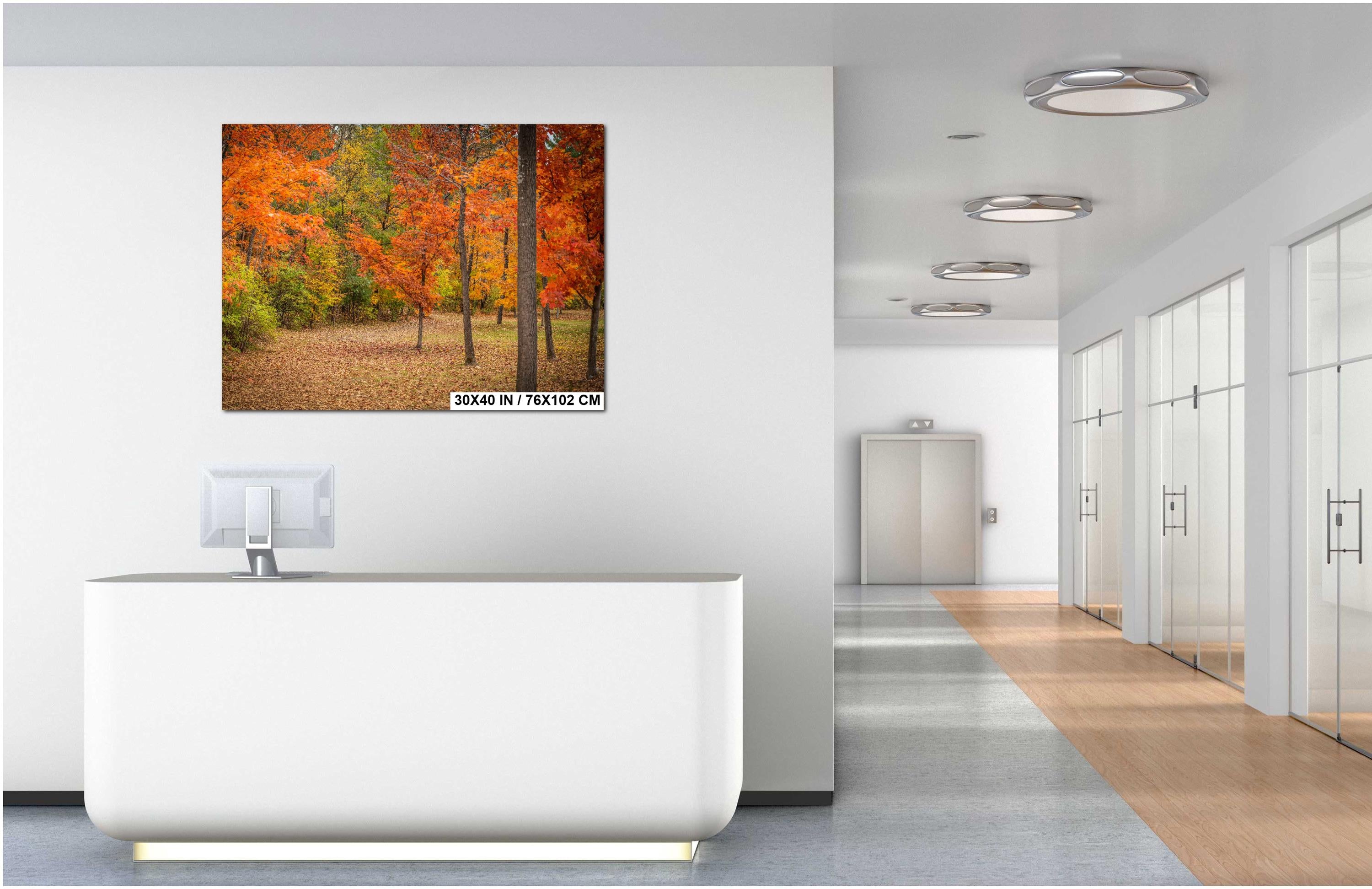 Adirondack Autumn Print – Fall Foliage Art | Scenic New York Landscape Wall Decor