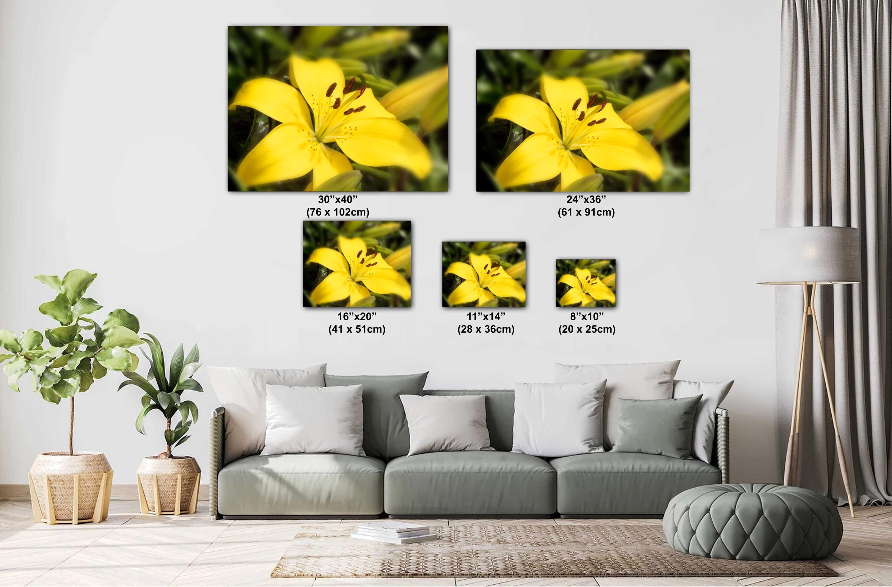 Floral Photography Print – Colorful Botanical Wall Art with Bloom Decor