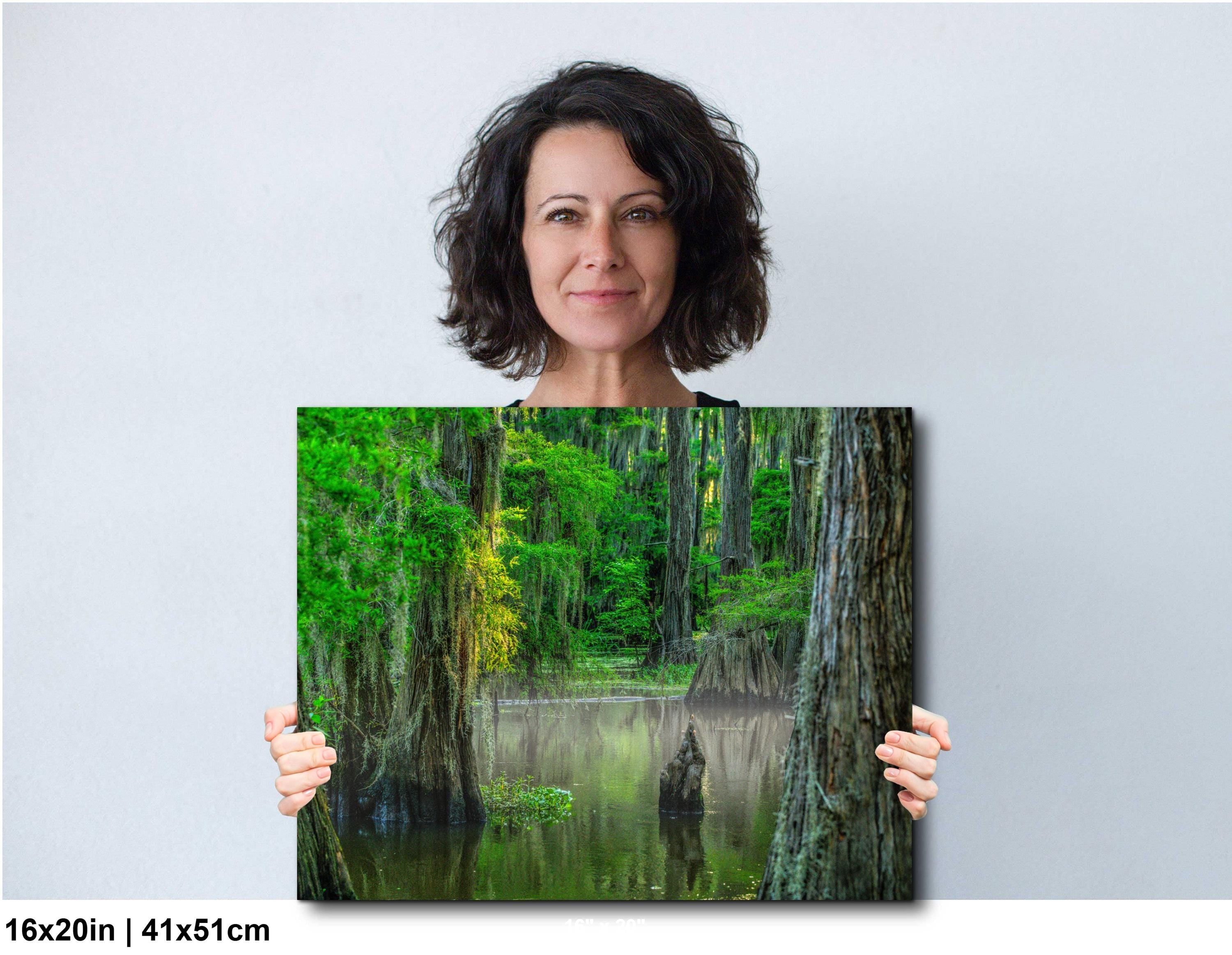 Caddo Lake Wall Art – Nature Photography Print Featuring Cypress Grove Decor