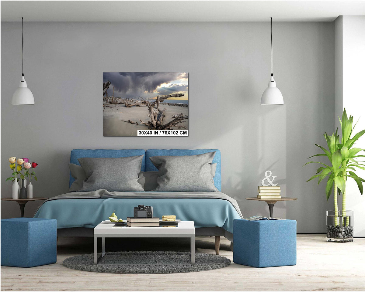 Coastal Driftwood Print – Georgia Landscape Photography Art | Beach Wall Decor