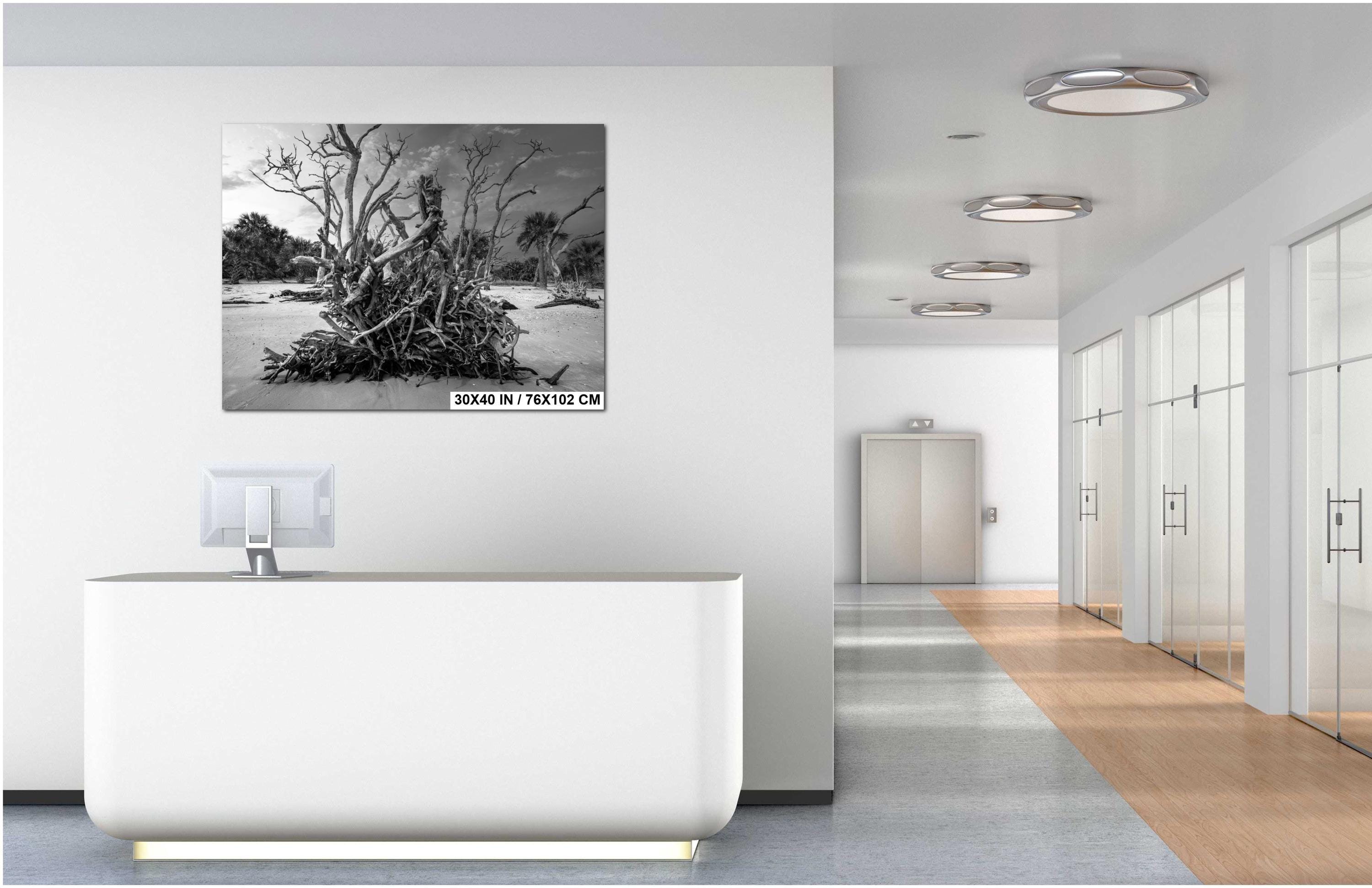 Driftwood Beach Photography Print – Coastal Wall Art With Georgia Beach Landscape