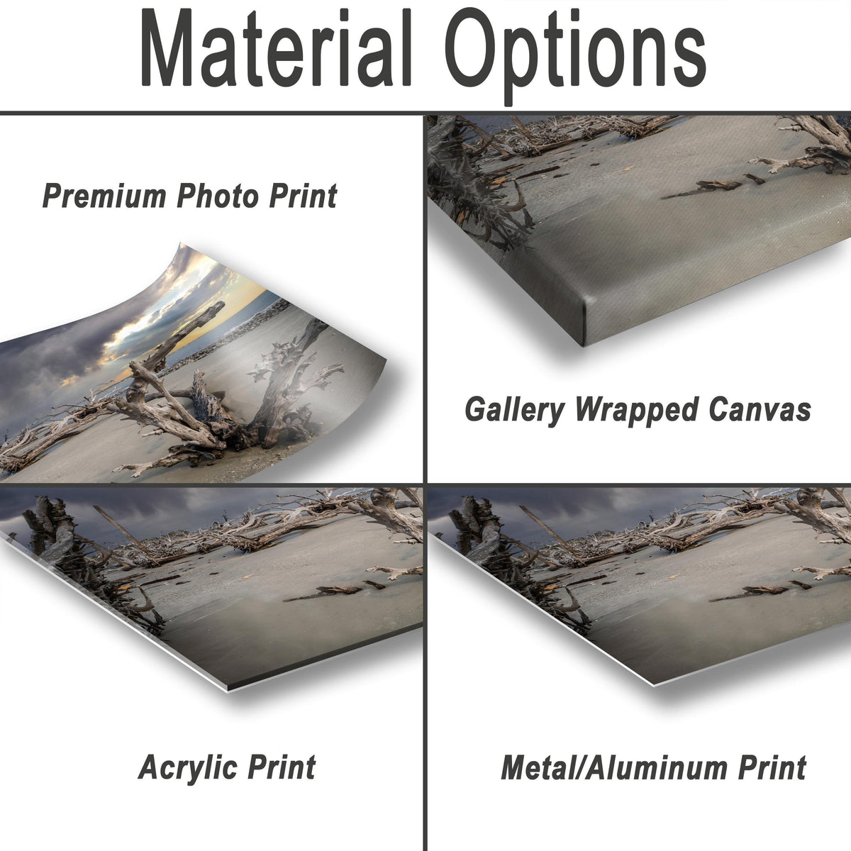 Coastal Driftwood Print – Georgia Landscape Photography Art | Beach Wall Decor