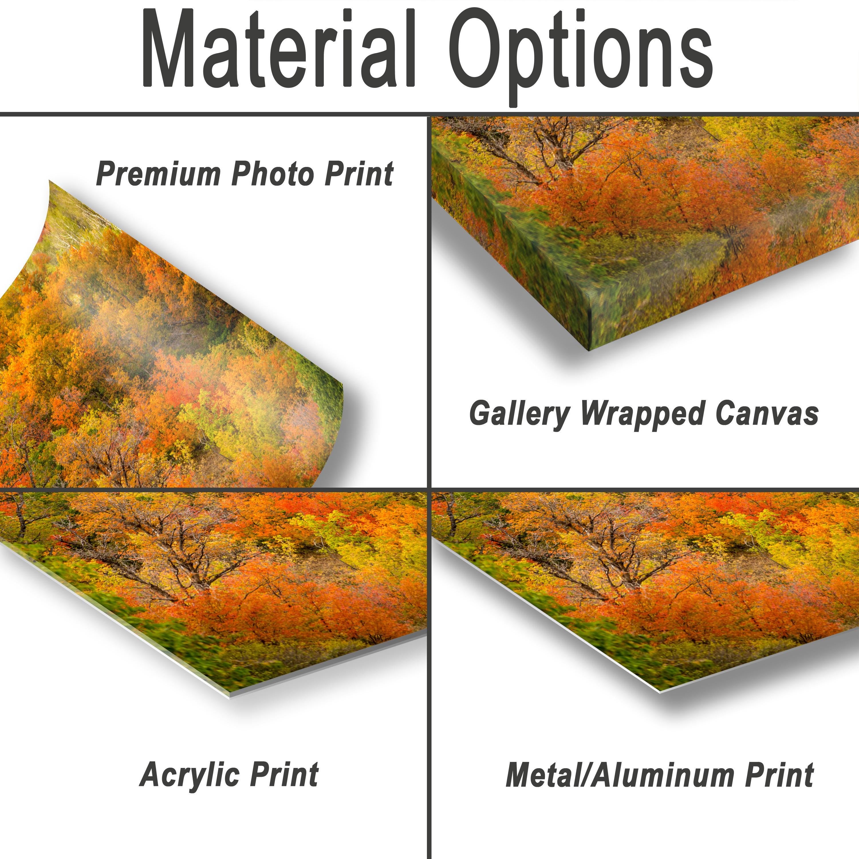 Autumn Mountain Landscape - Wasatch Mountains Fall Nature Print | Vibrant Aspen Art