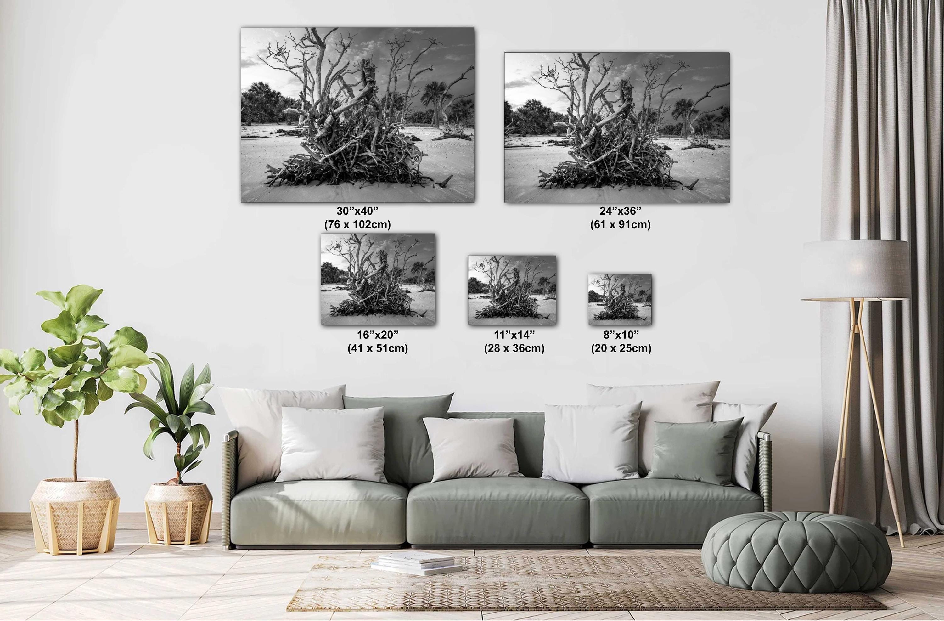 Driftwood Beach Photography Print – Coastal Wall Art With Georgia Beach Landscape