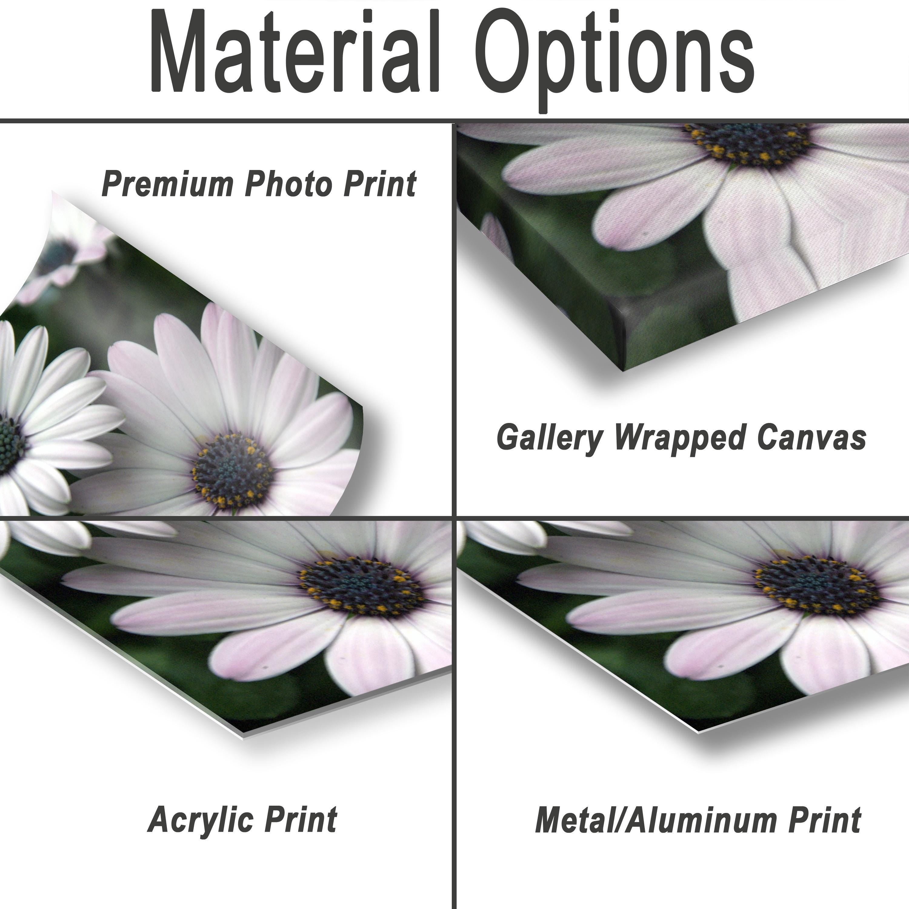Floral Photography Print – Colorful Botanical Wall Art | Modern Garden Decor