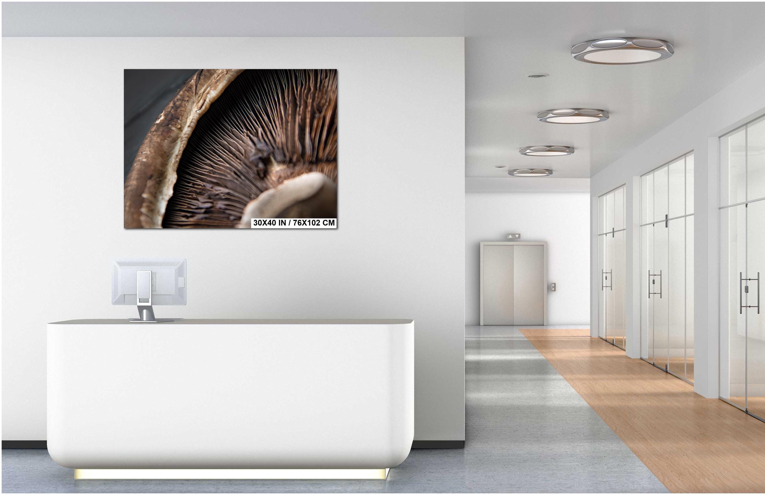 Raw Food Photography Print - Abstract Kitchen Wall Art | Organic Still Life Photo