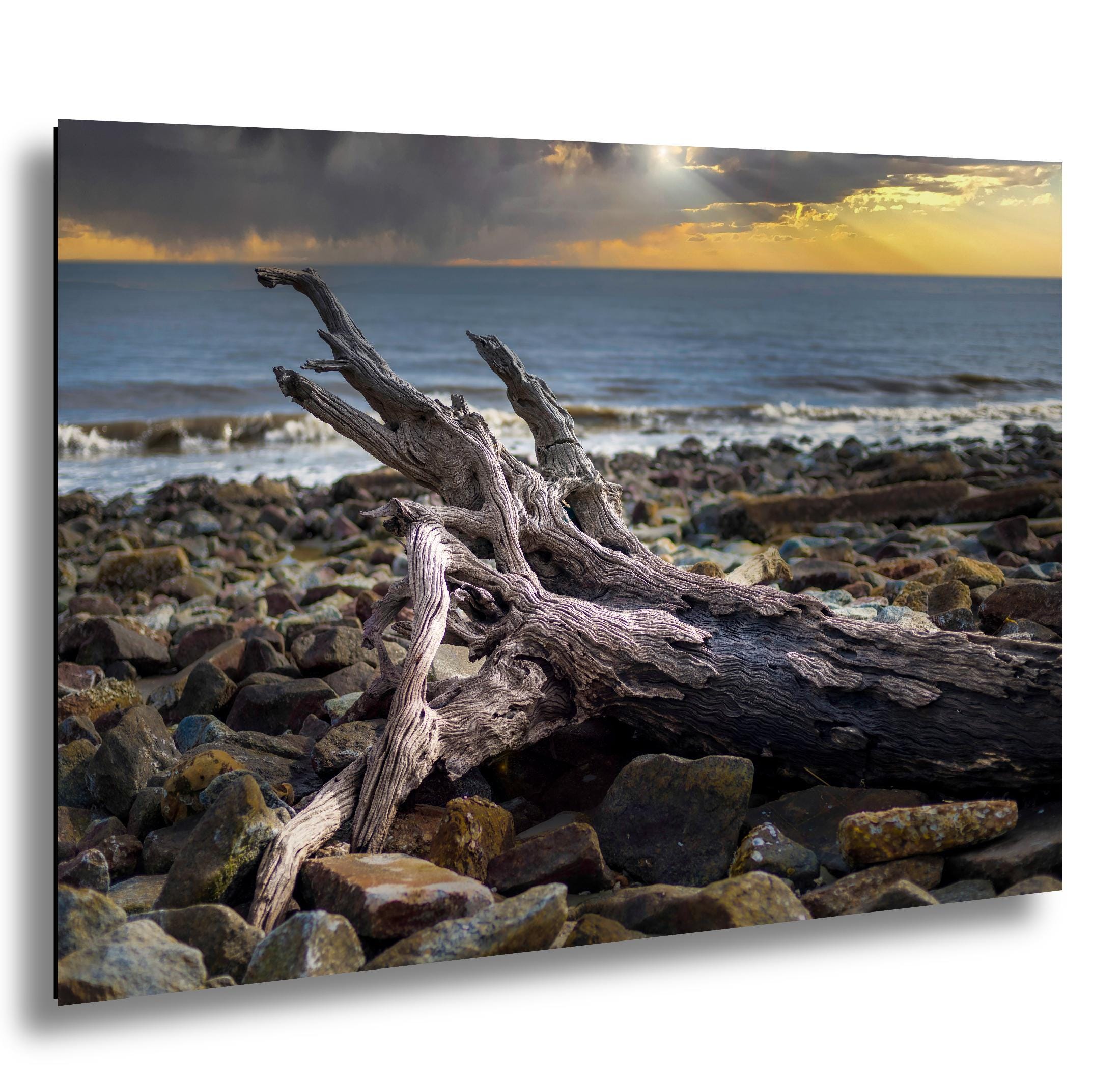 Driftwood Beach Photography Print – Georgia Coastal Landscape Art | Seaside Wall Decor