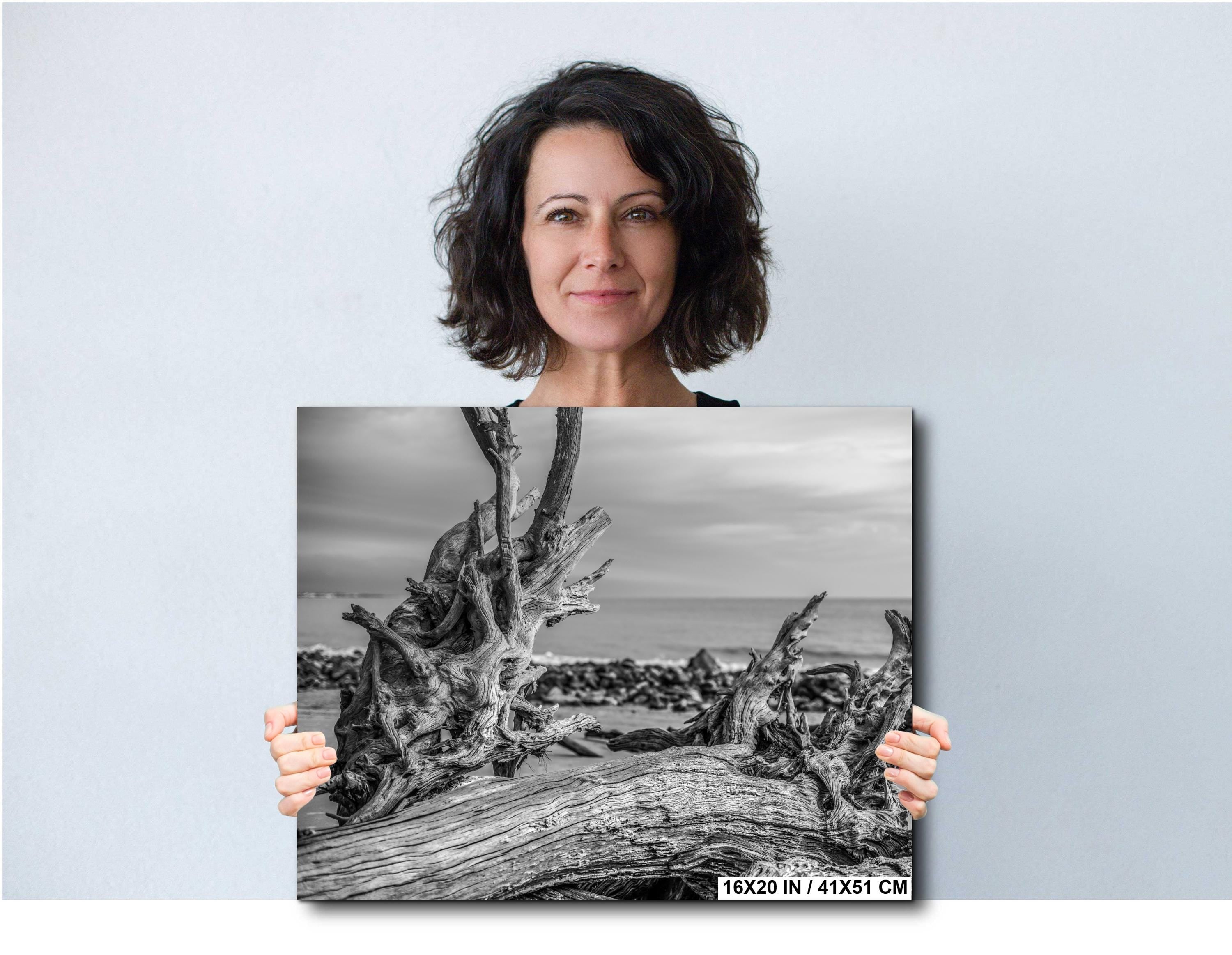 Coastal Driftwood Photography - Georgia Landscape Print | Beach Wall Art Decor