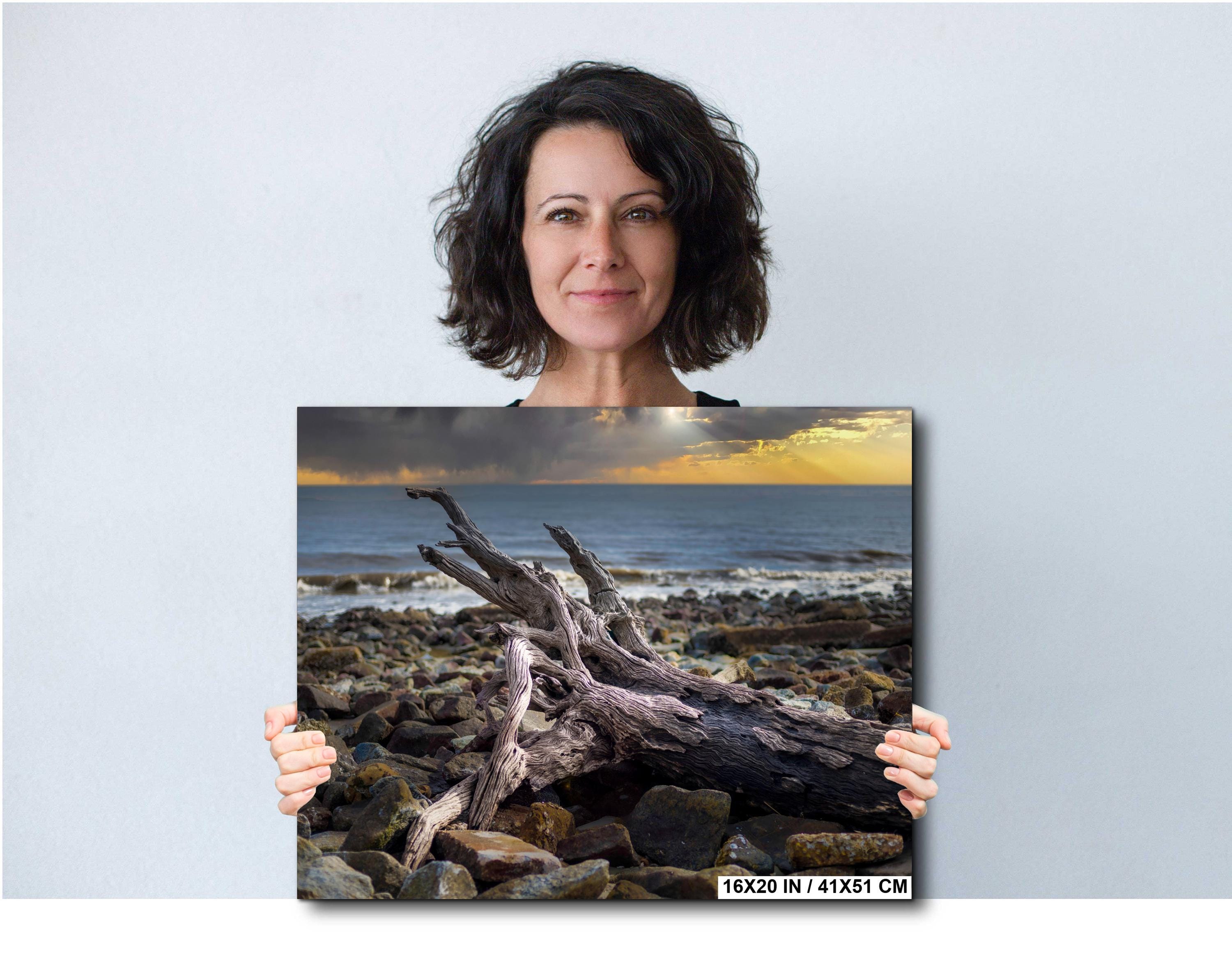 Driftwood Beach Photography Print – Georgia Coastal Landscape Art | Seaside Wall Decor
