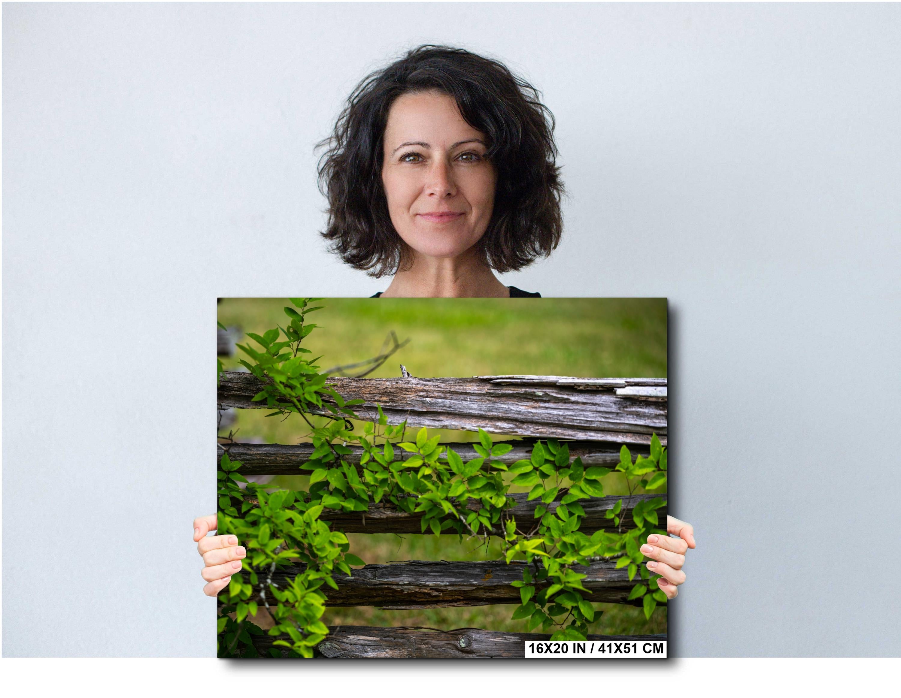 Virginia Landscape Print – Rustic Wall Art Featuring Vintage Rural Scene & Southern Charm Decor