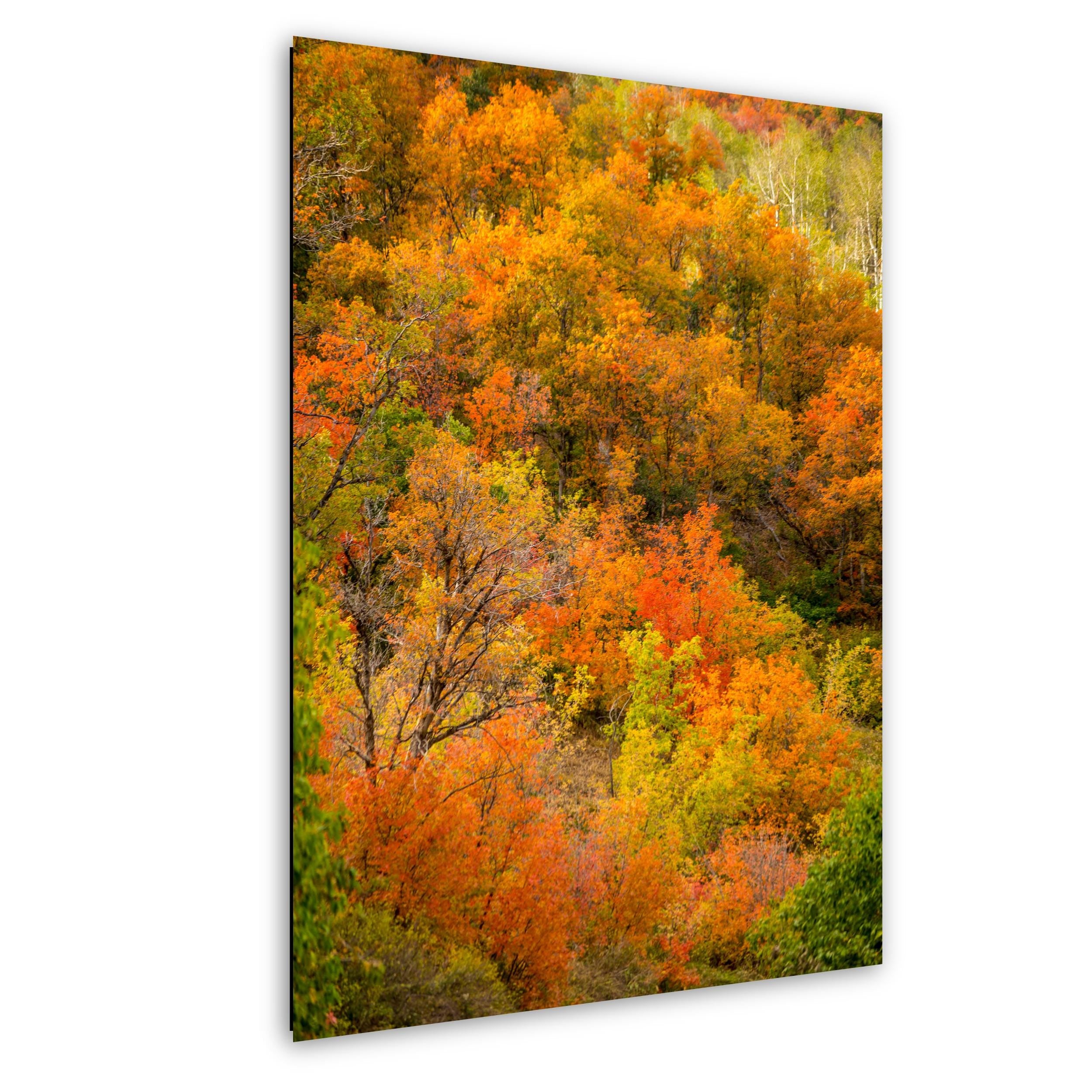 Autumn Mountain Landscape - Wasatch Mountains Fall Nature Print | Vibrant Aspen Art