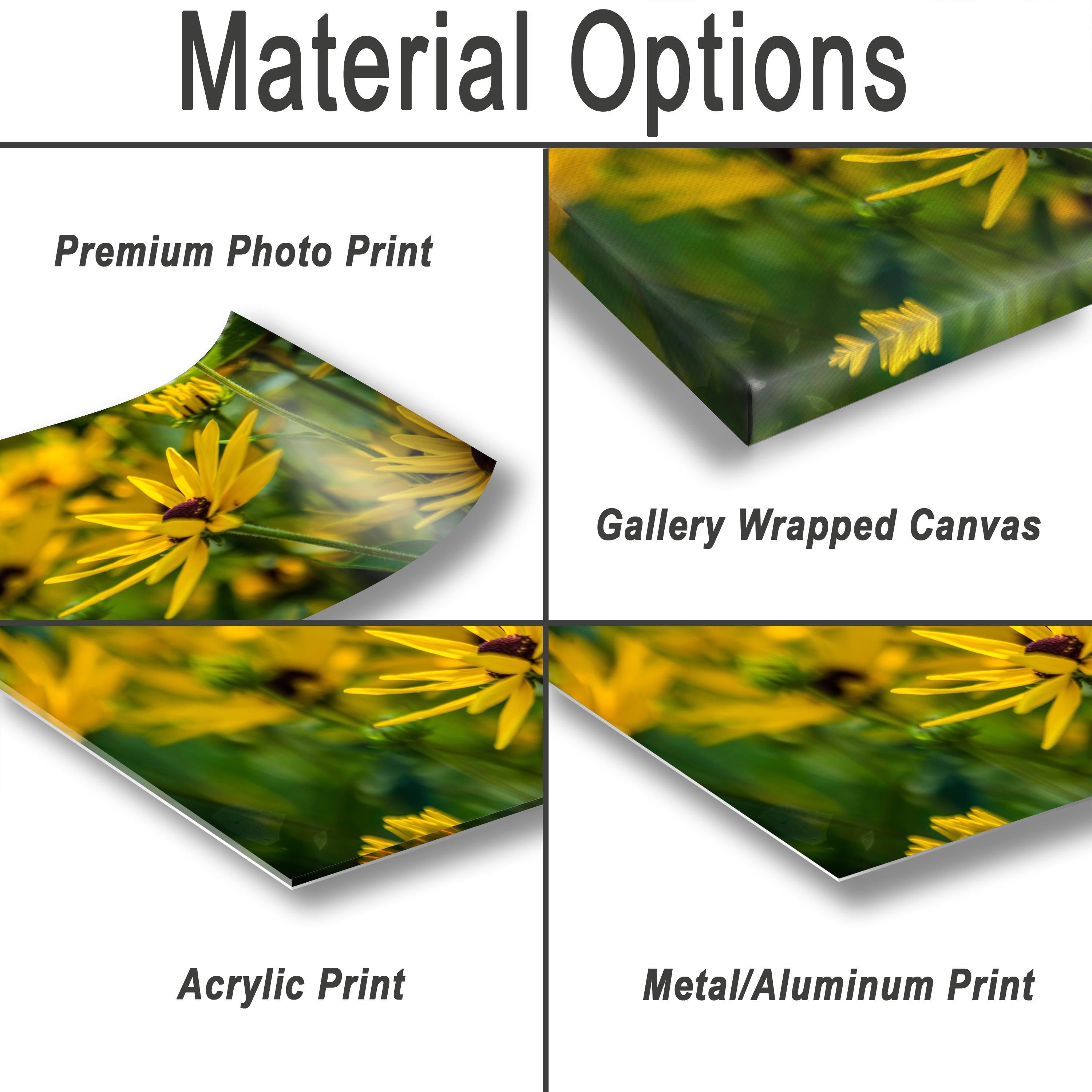 Yellow Coneflower Print - Wildflower Wall Art | Botanical Wall Decor & Floral Photography