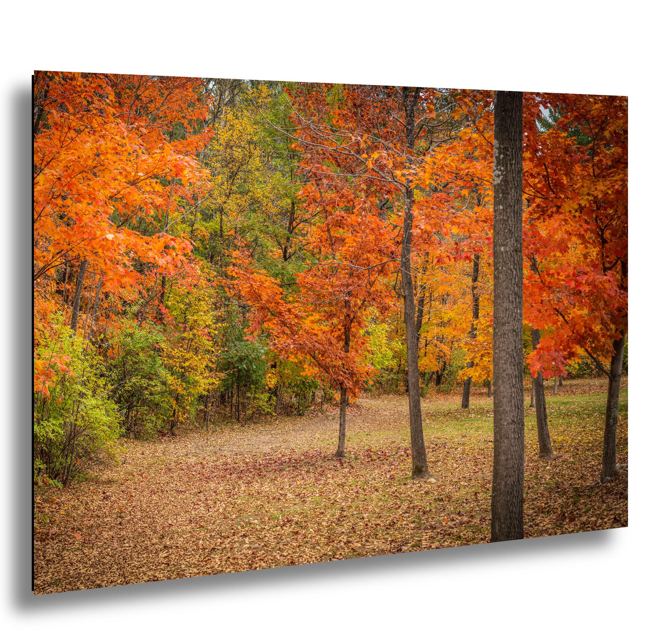 Adirondack Autumn Print – Fall Foliage Art | Scenic New York Landscape Wall Decor