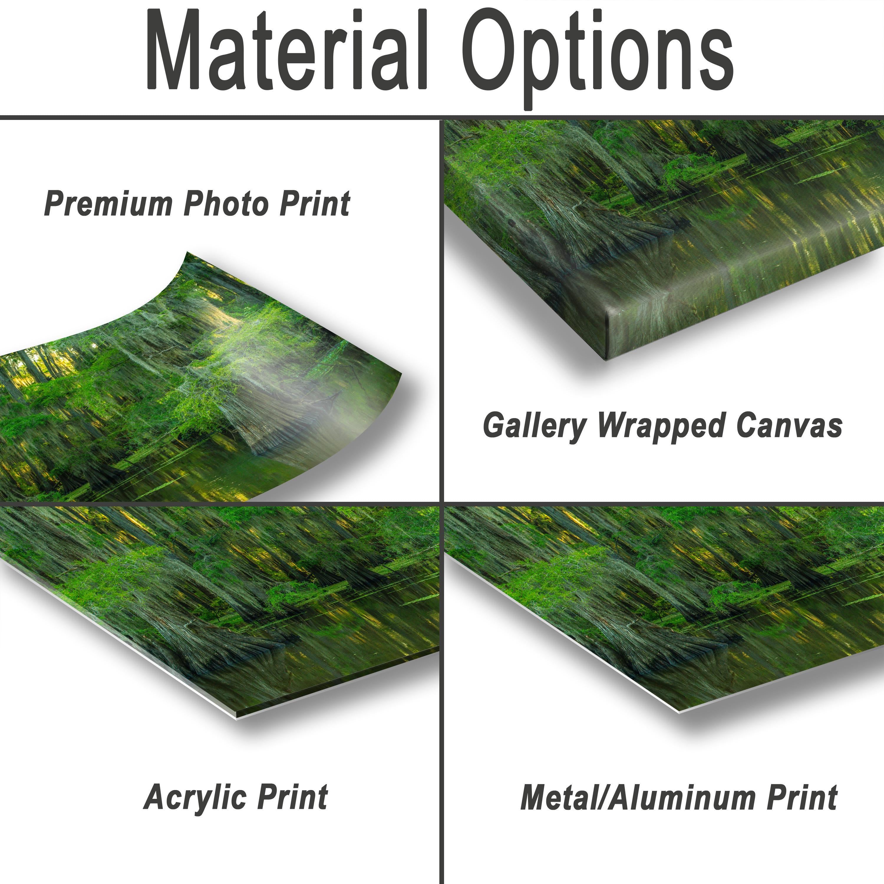 Texas Landscape Art – Cypress Swamp Photography Print | Misty Trees & Spanish Moss