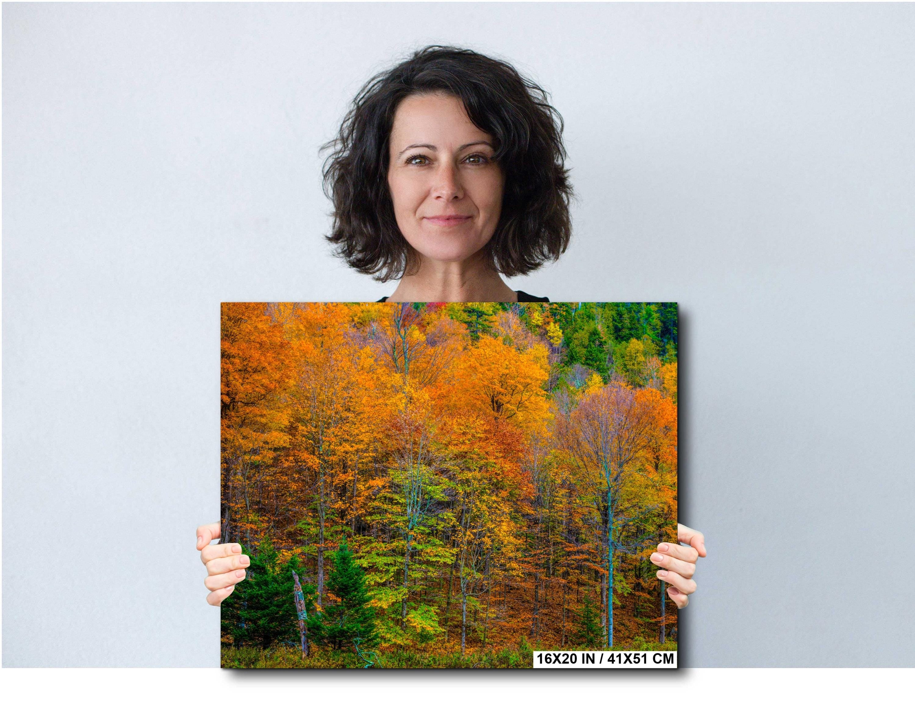 Adirondack Autumn Wall Art – Vibrant Fall Foliage Photography Print with Fiery Maple Leaves