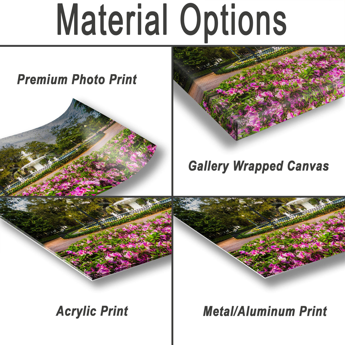 Forsyth Fountain Print – Savannah Wall Art | Historic Southern Landmark Decor